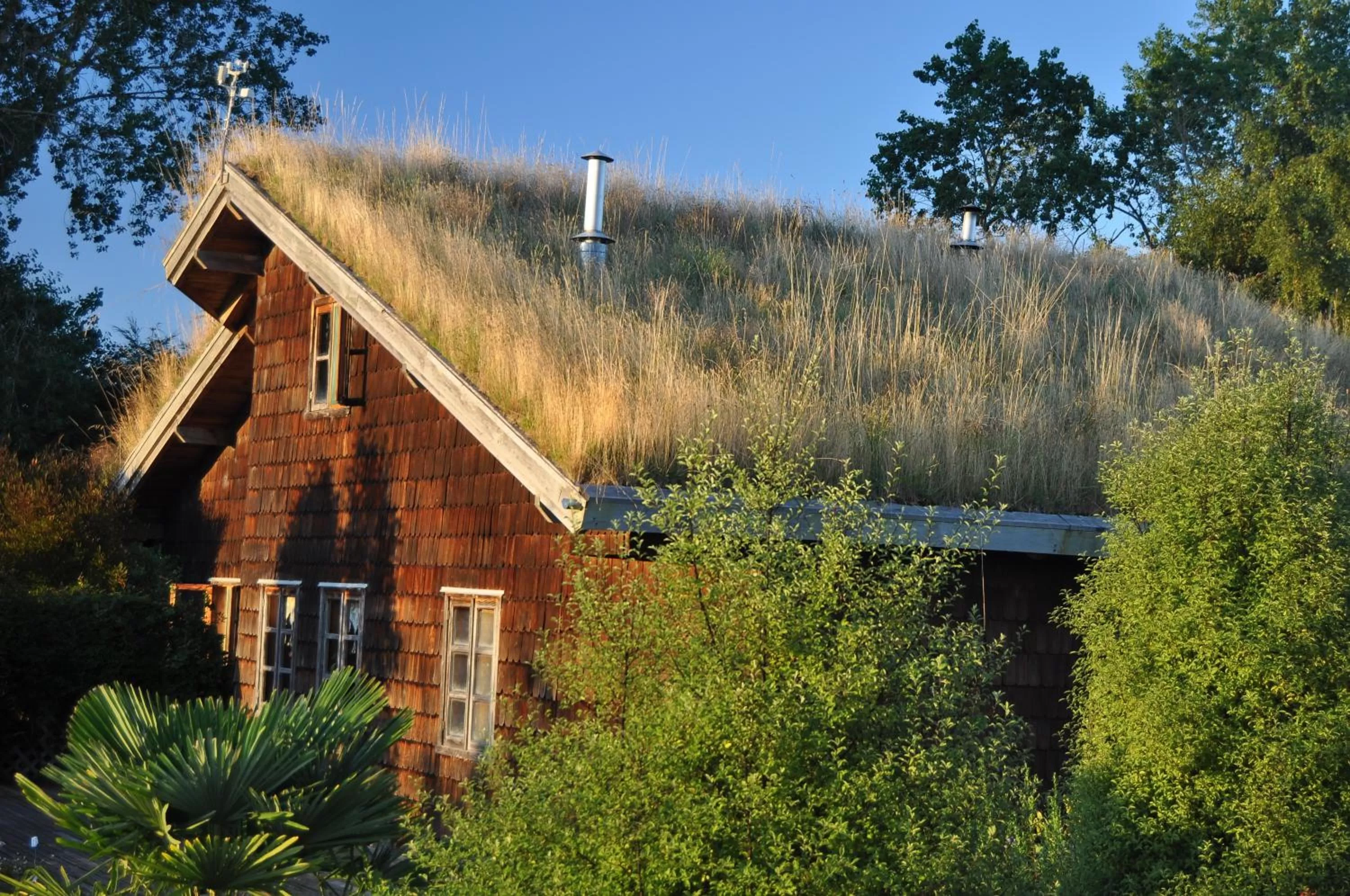 Facade/entrance, Property Building in Hostal Zapato Amarillo