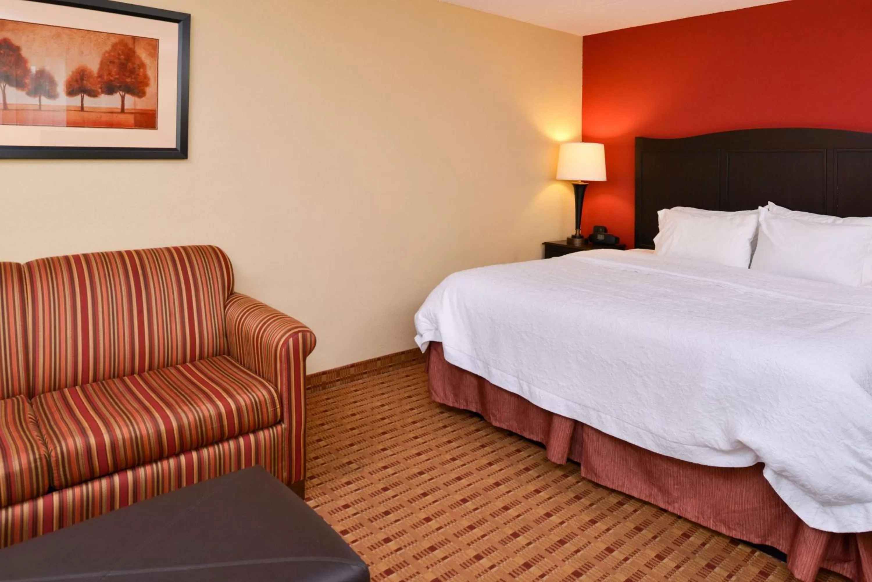 King Studio - Non-Smoking in Hampton Inn Williamsburg