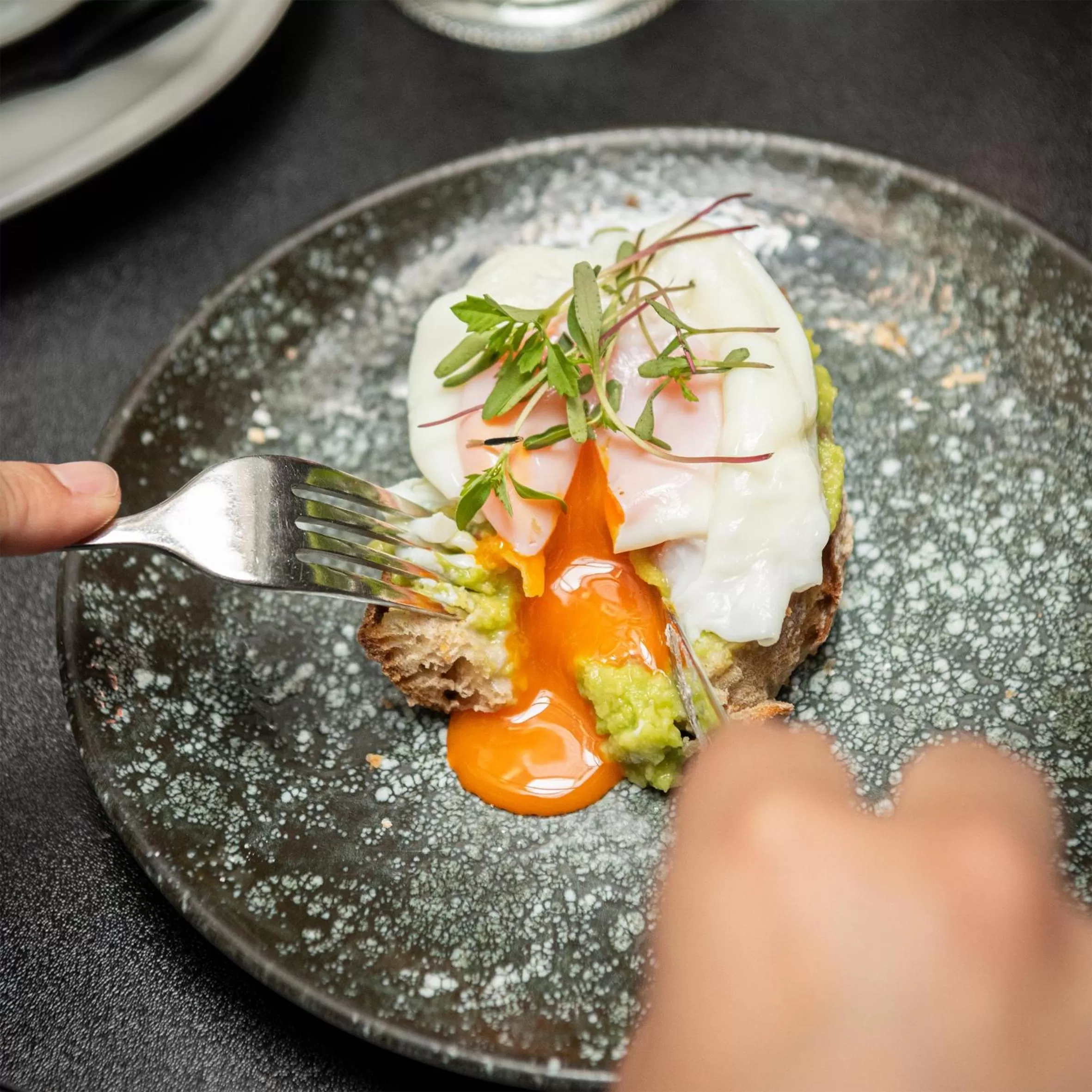 Restaurant/places to eat in Hotel Plaza