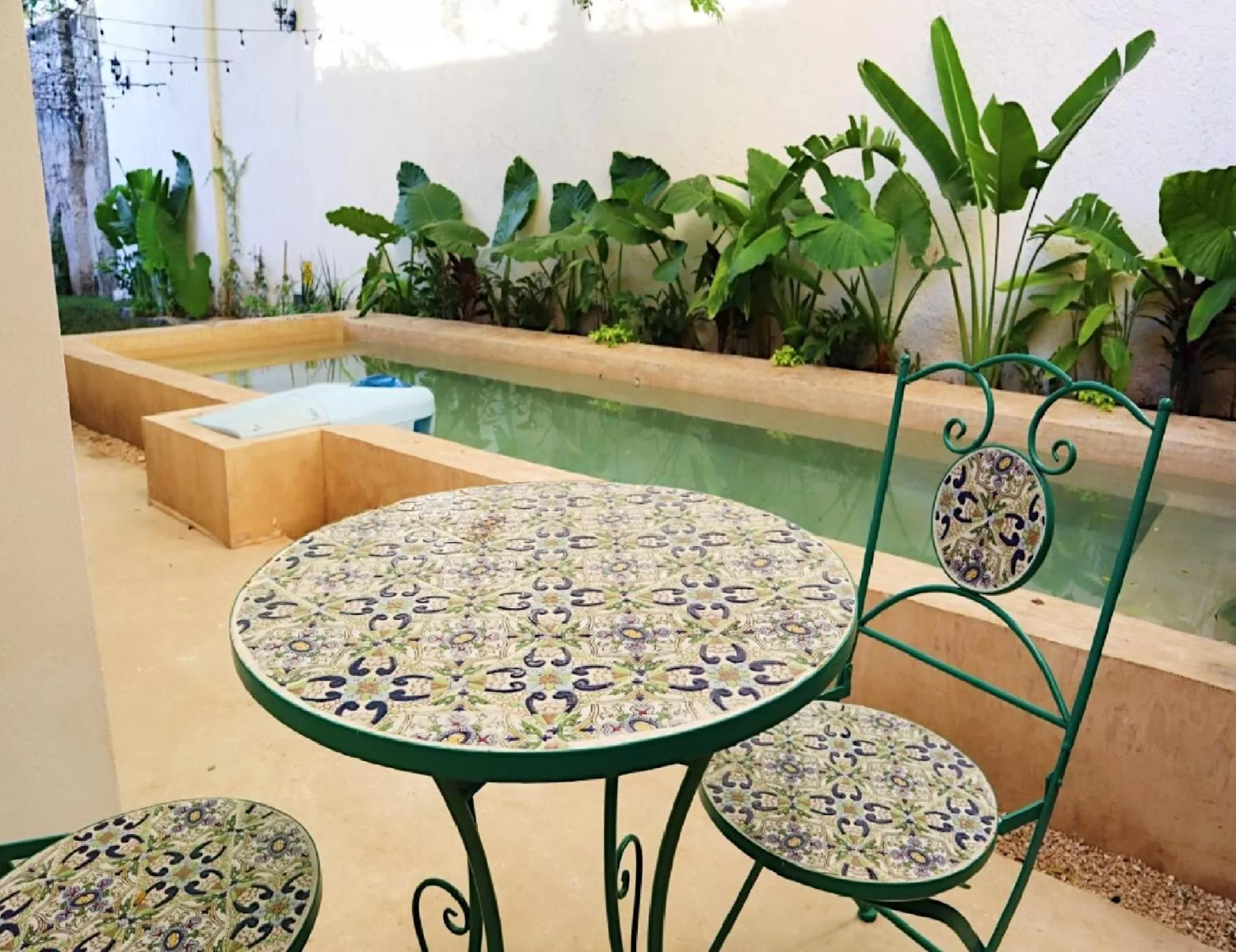 Patio in Hotel & Hostal Boutique Casa Garza