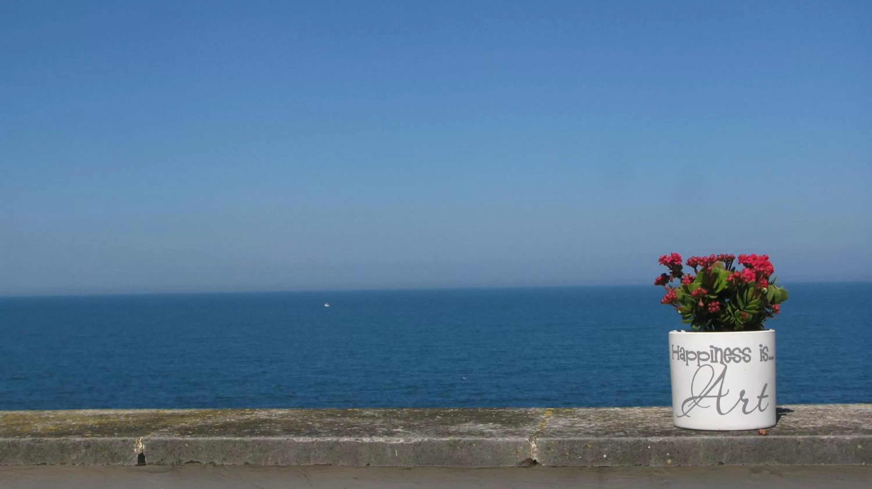 Balcony/Terrace in Il Mulino di Amleto - Bed and Breakfast letterario