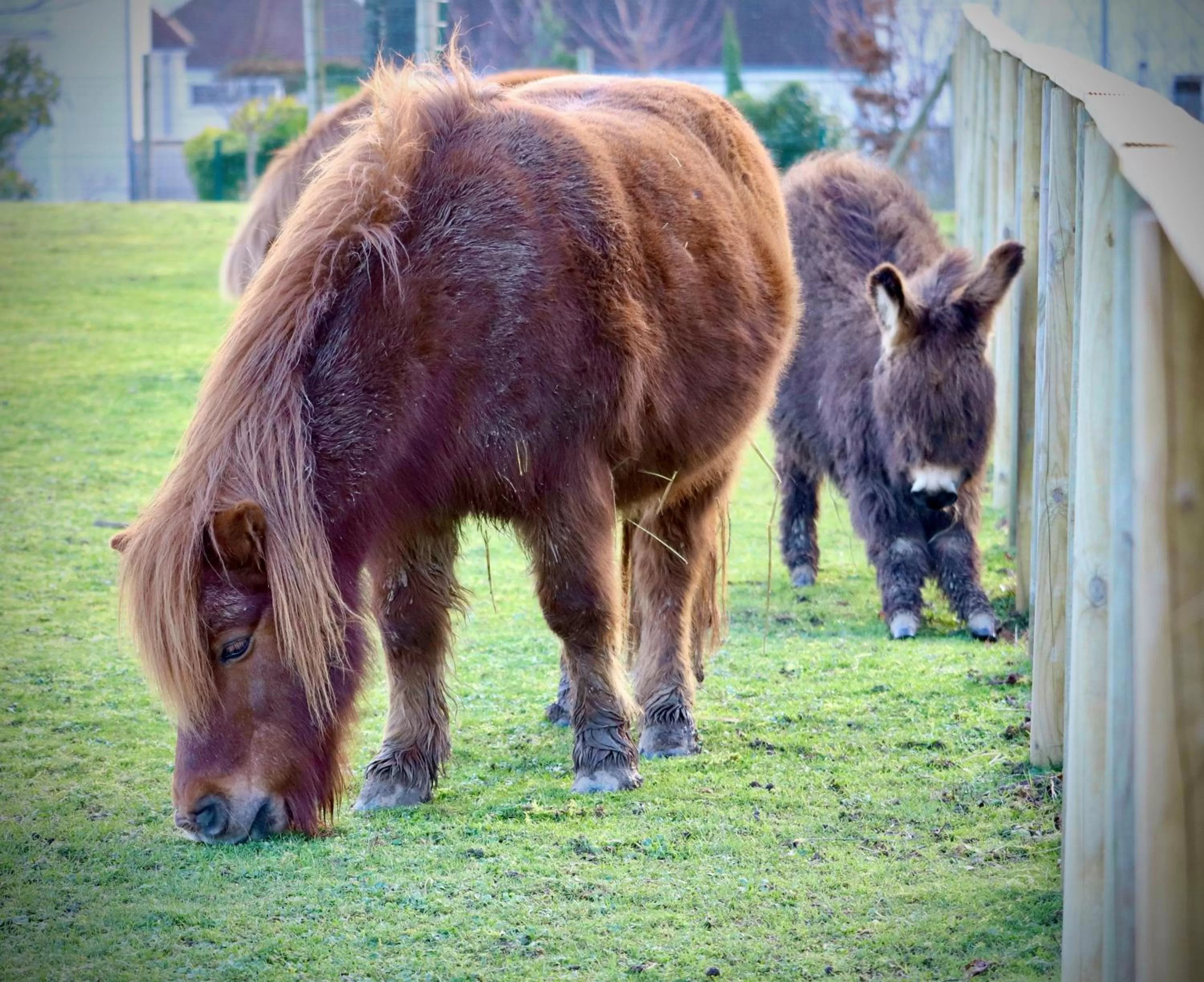 Garden in Campanile Val de France