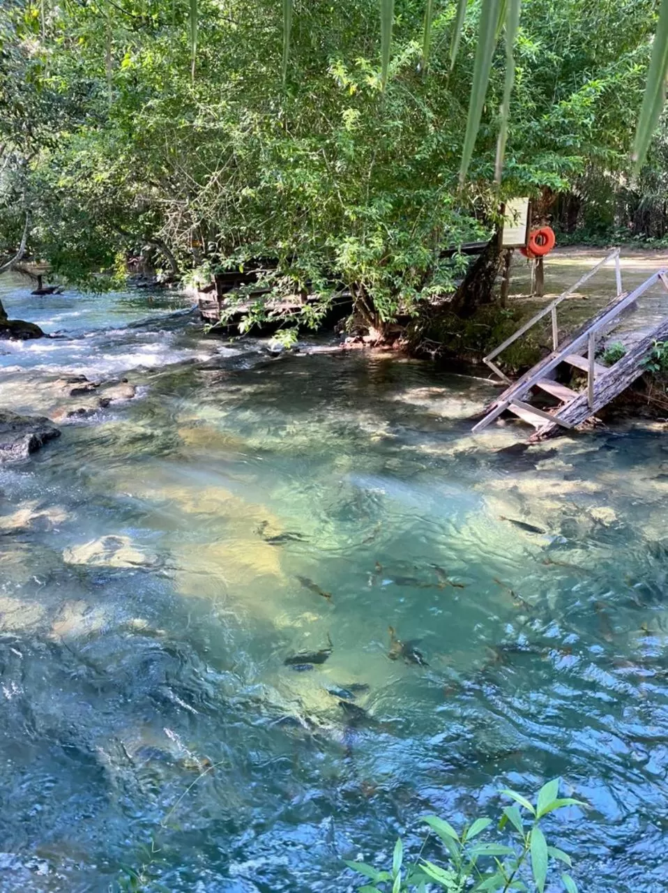 River view in Hotel Santa Esmeralda