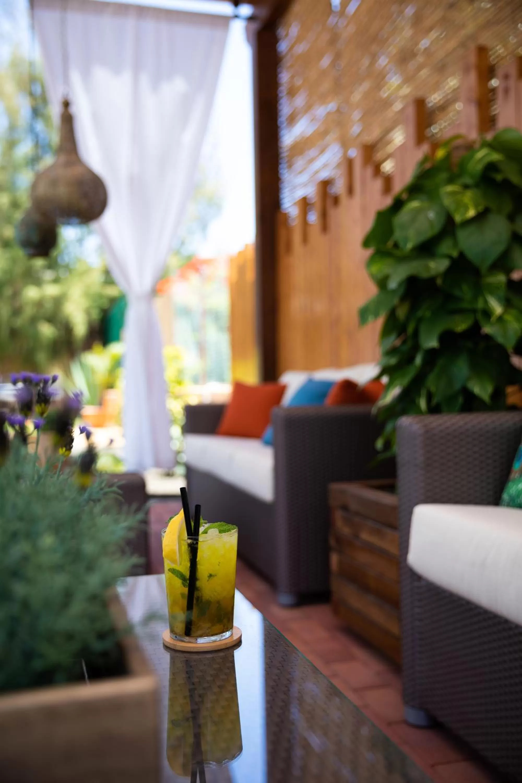 Garden in Club Vista Serena