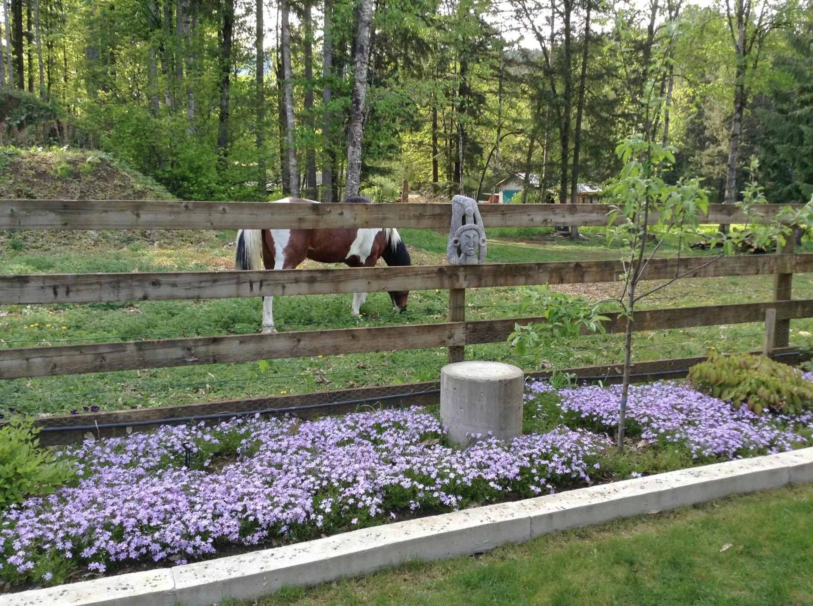 Natural landscape in Hope Springs Eternal Bed and Breakfast
