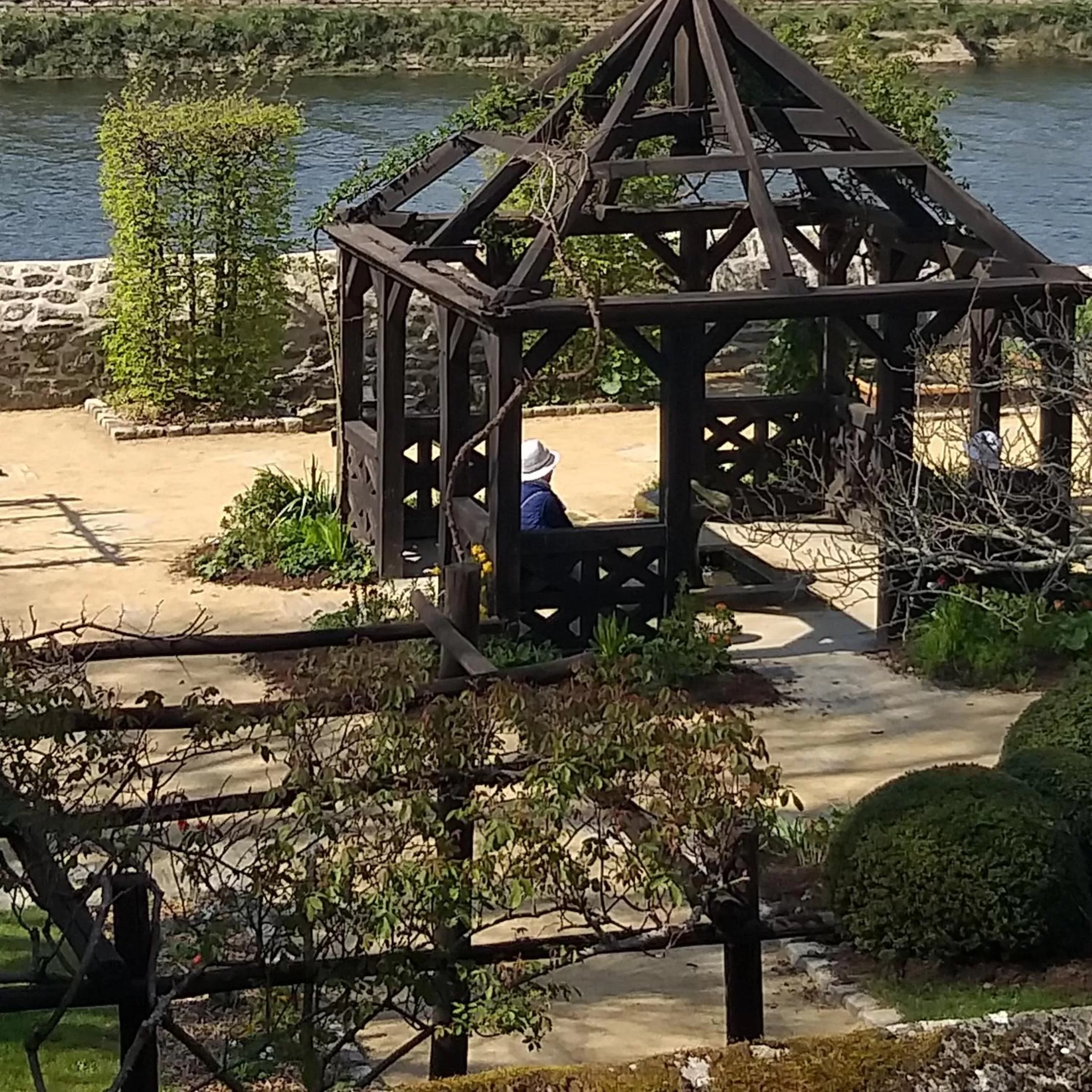 Garden view in Hôtel Ginkgo - SPA Biloba