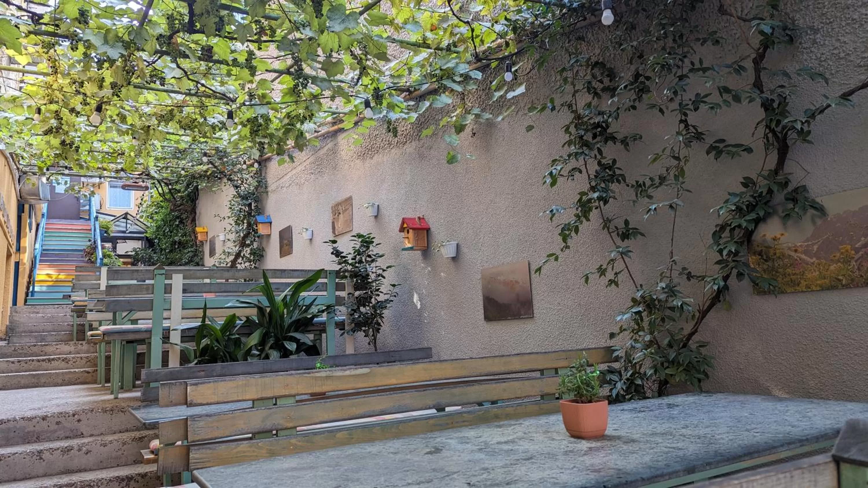 Garden in Hotel Kartli