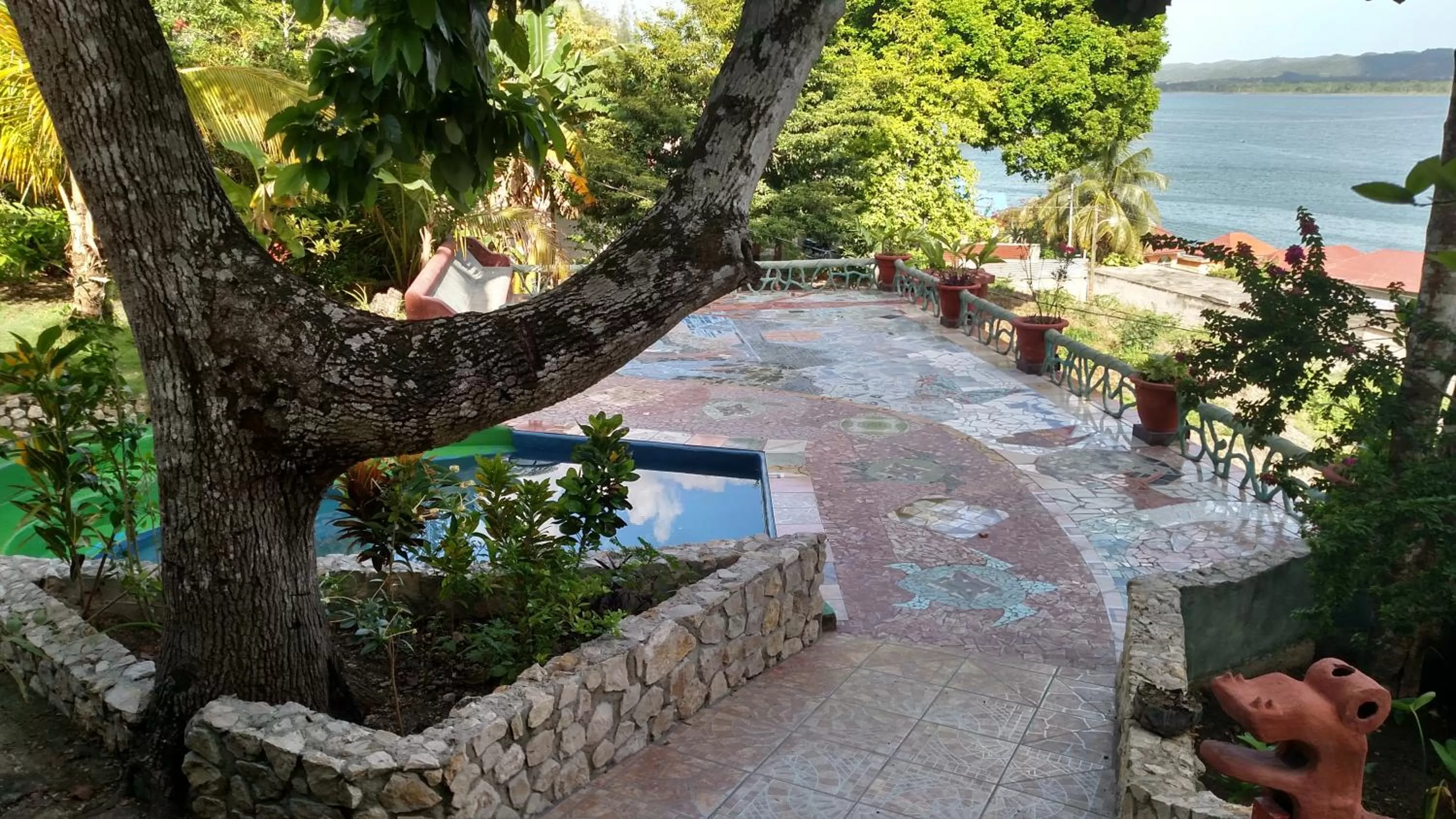 Patio, Pool View in Zapote Tree Inn