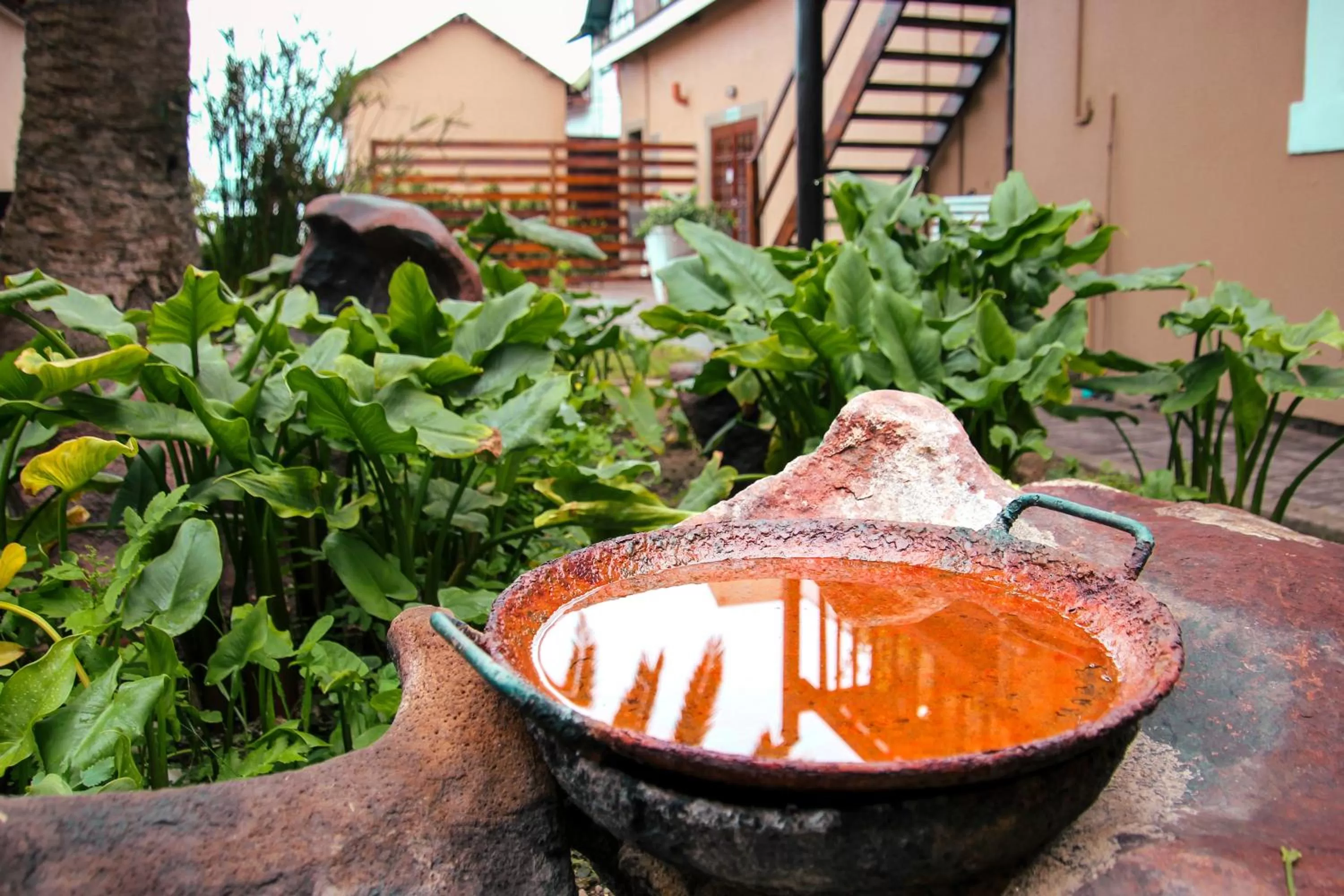 The Residence at Villa Wiese