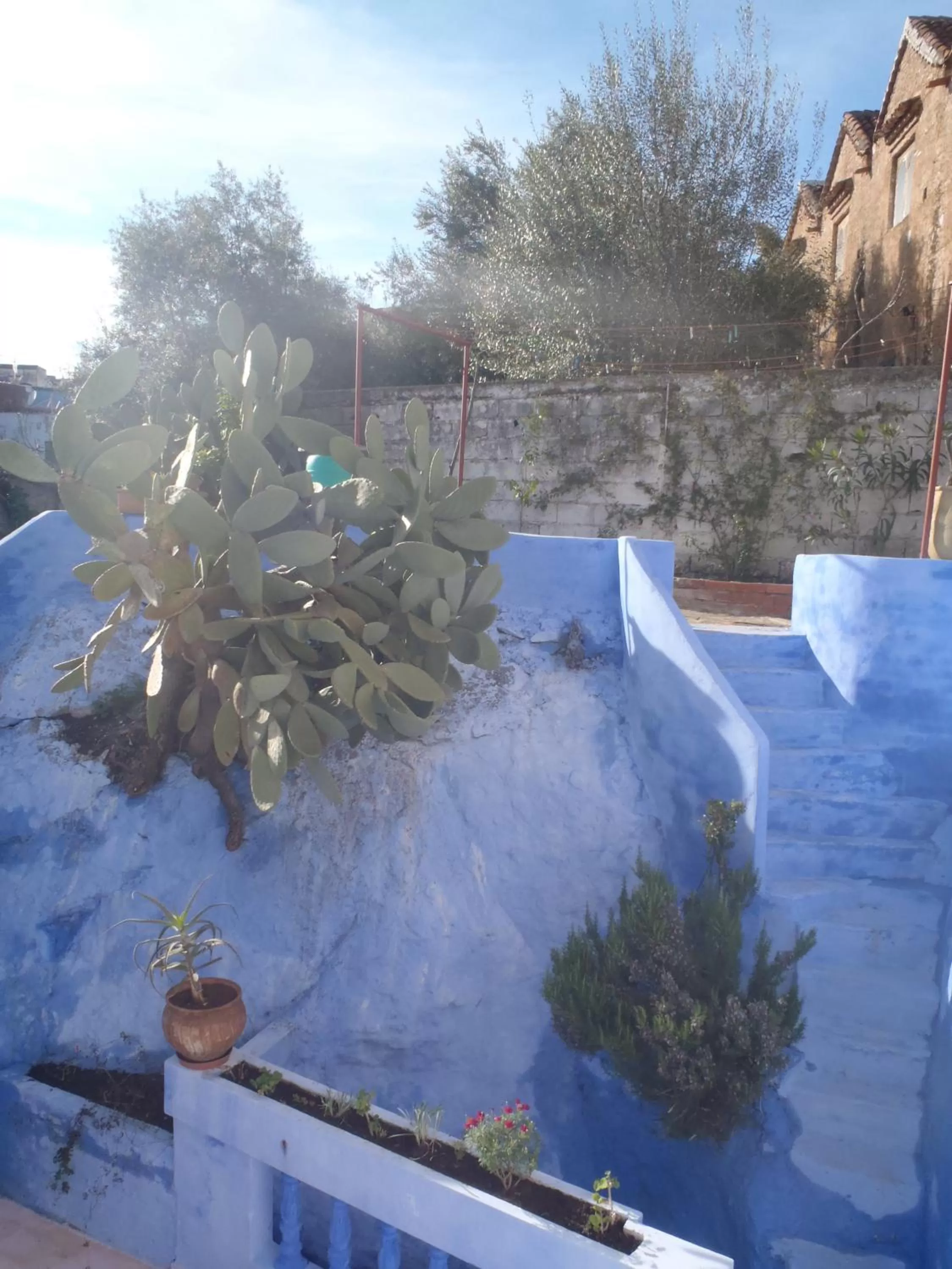 Patio, Swimming Pool in Dar Dalia