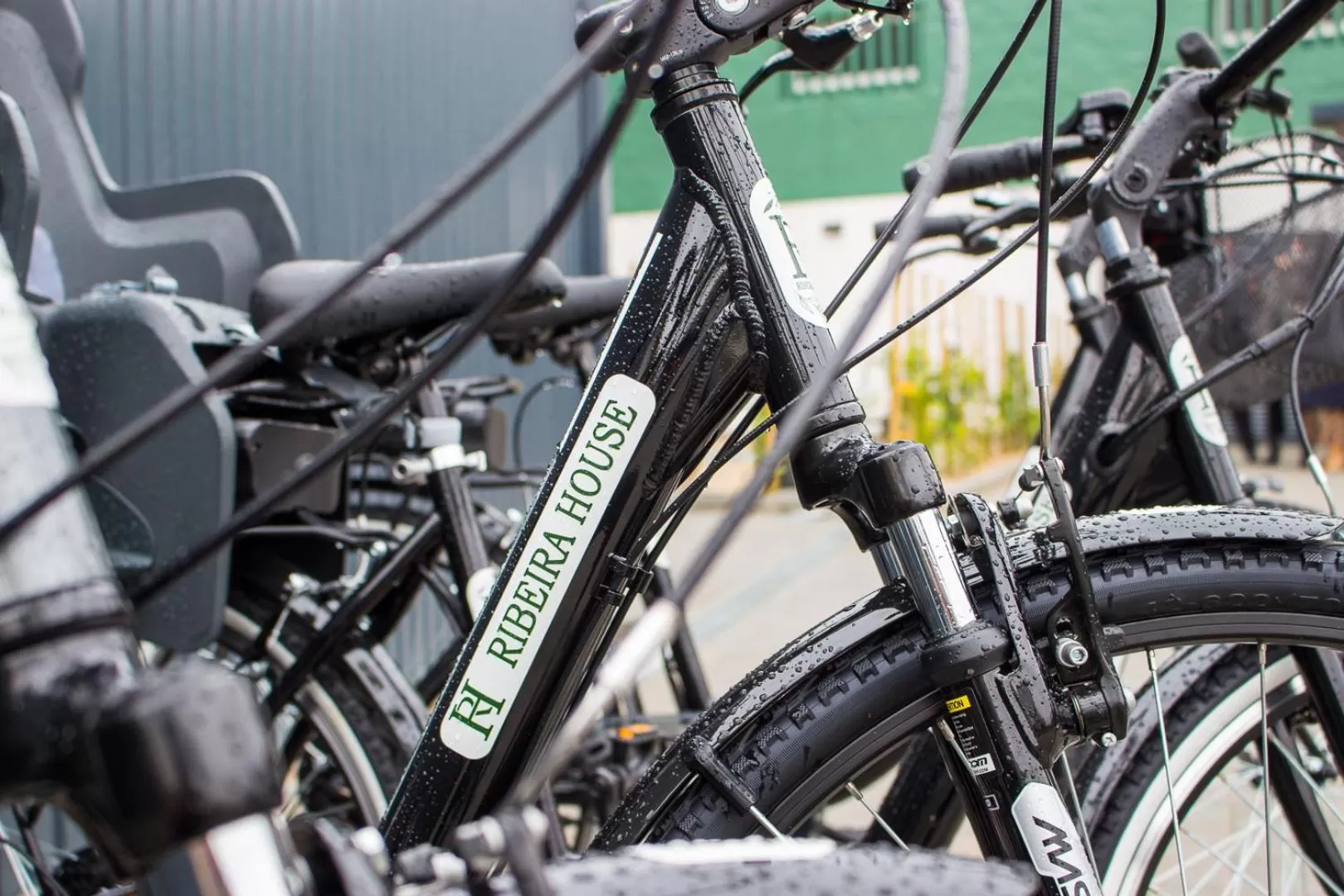 Activities in Ribeira House