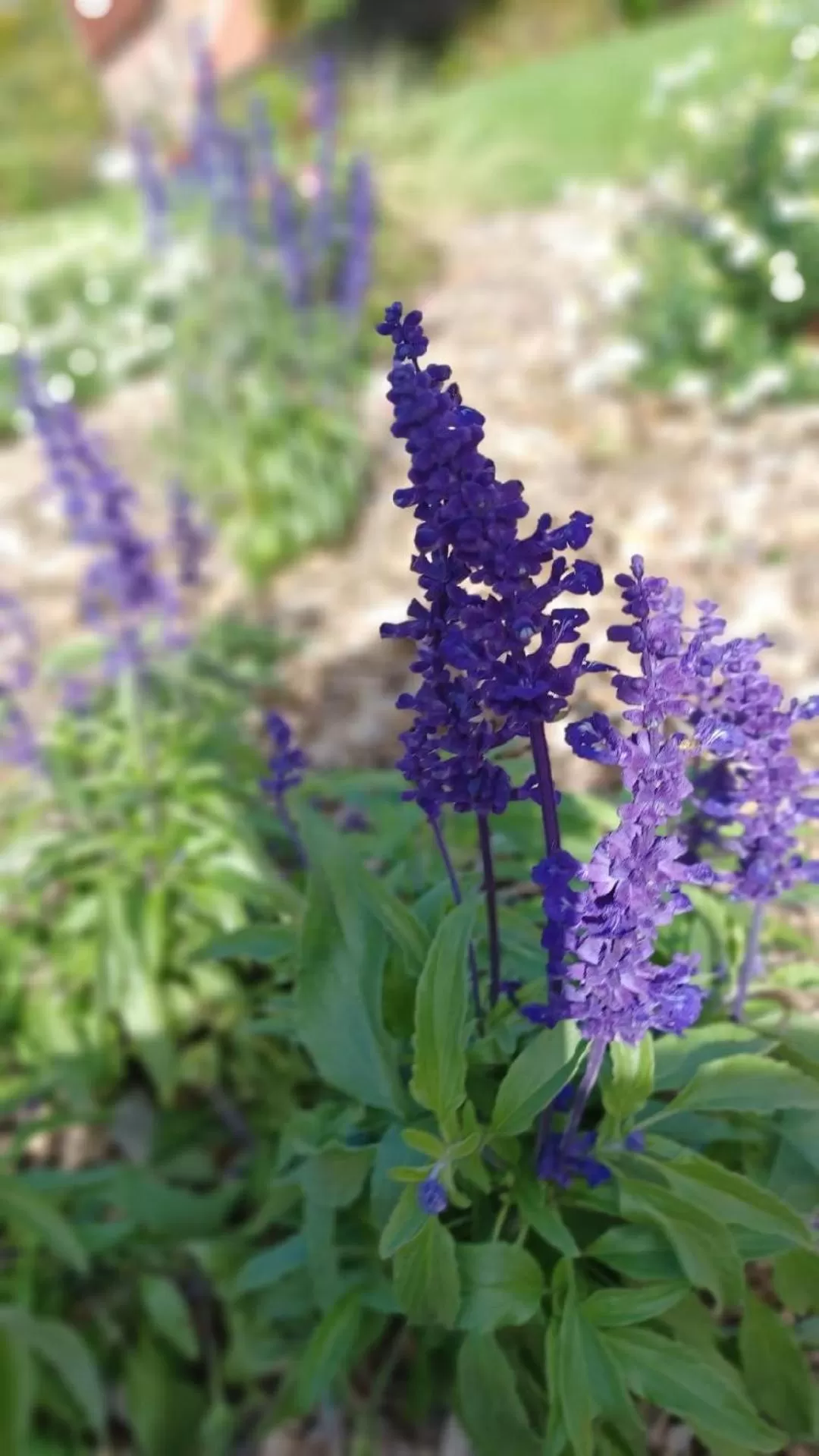 Le Mas de la Rocherie Chambre d'hôtes "Référence"