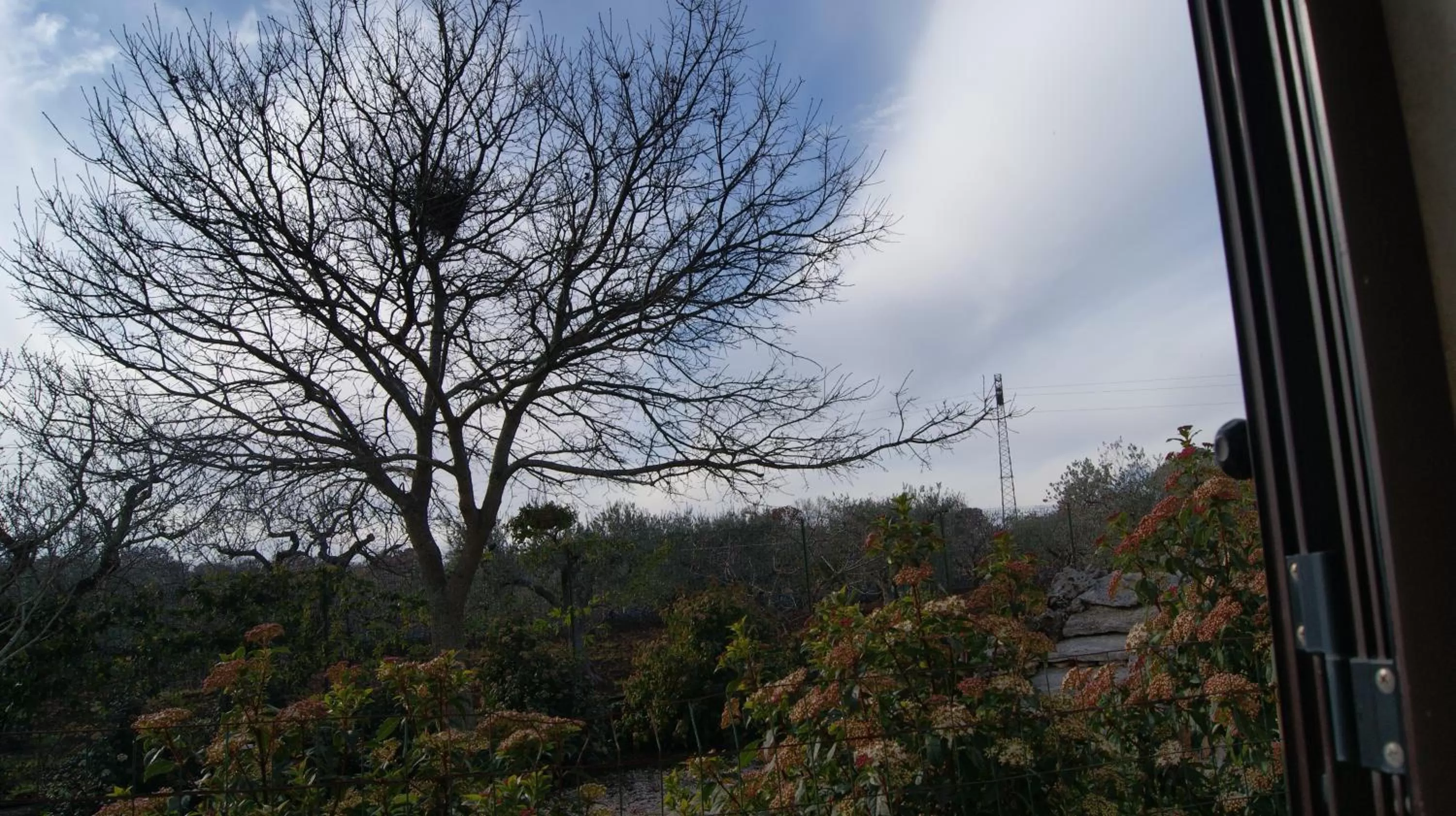 View (from property/room) in Arome B&B