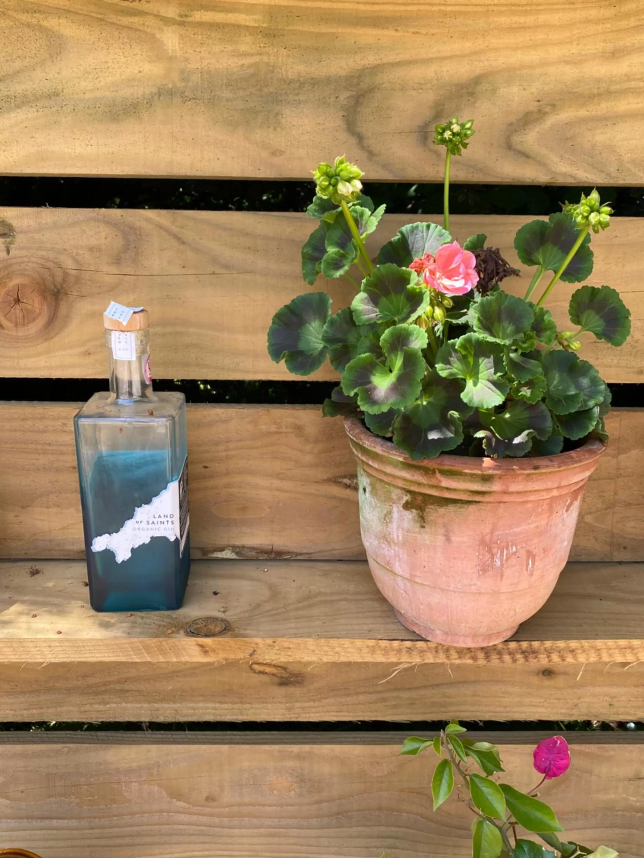 Toppesfield House B&B