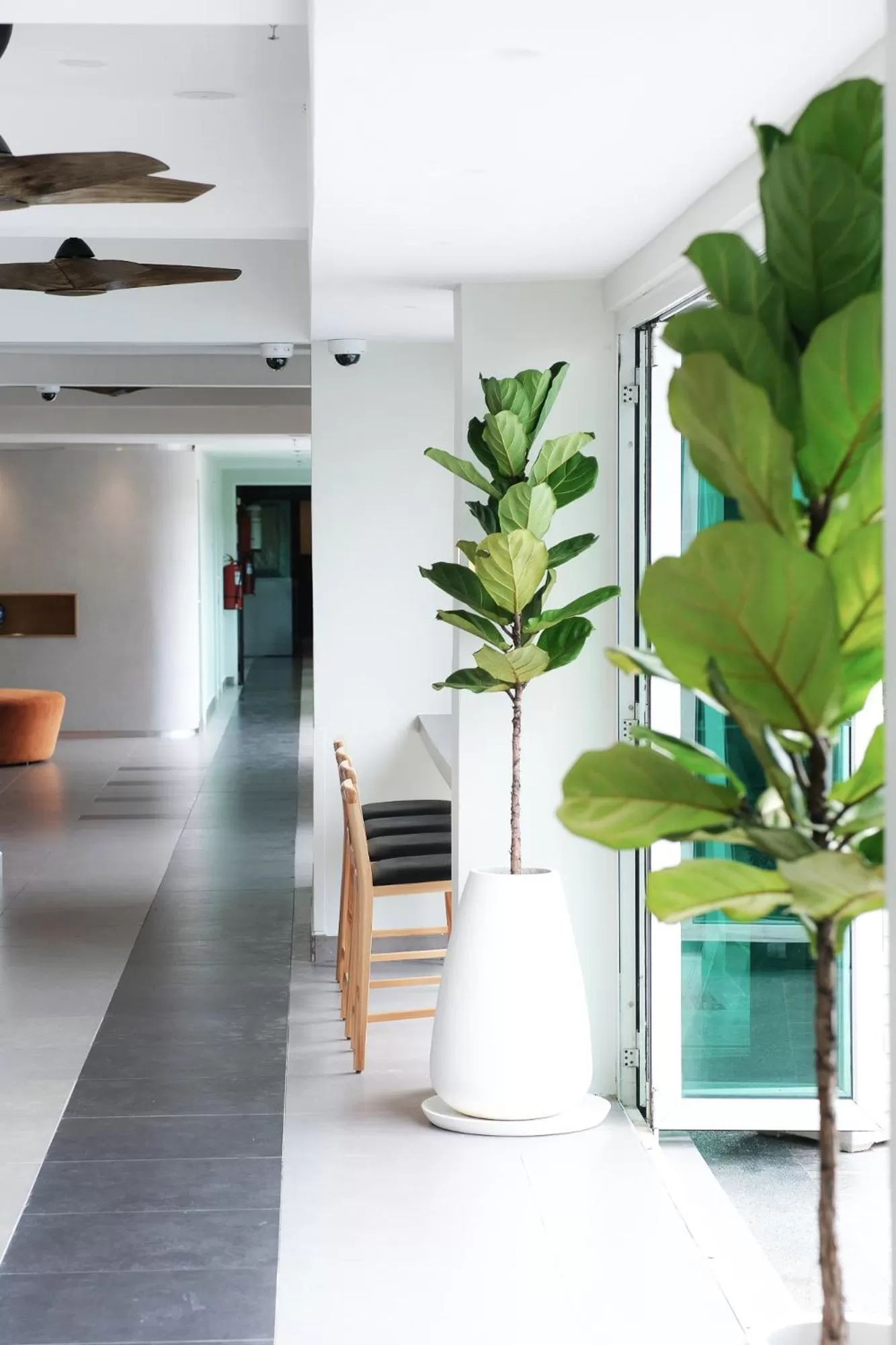 Lobby or reception in The Bayou Hotel Langkawi