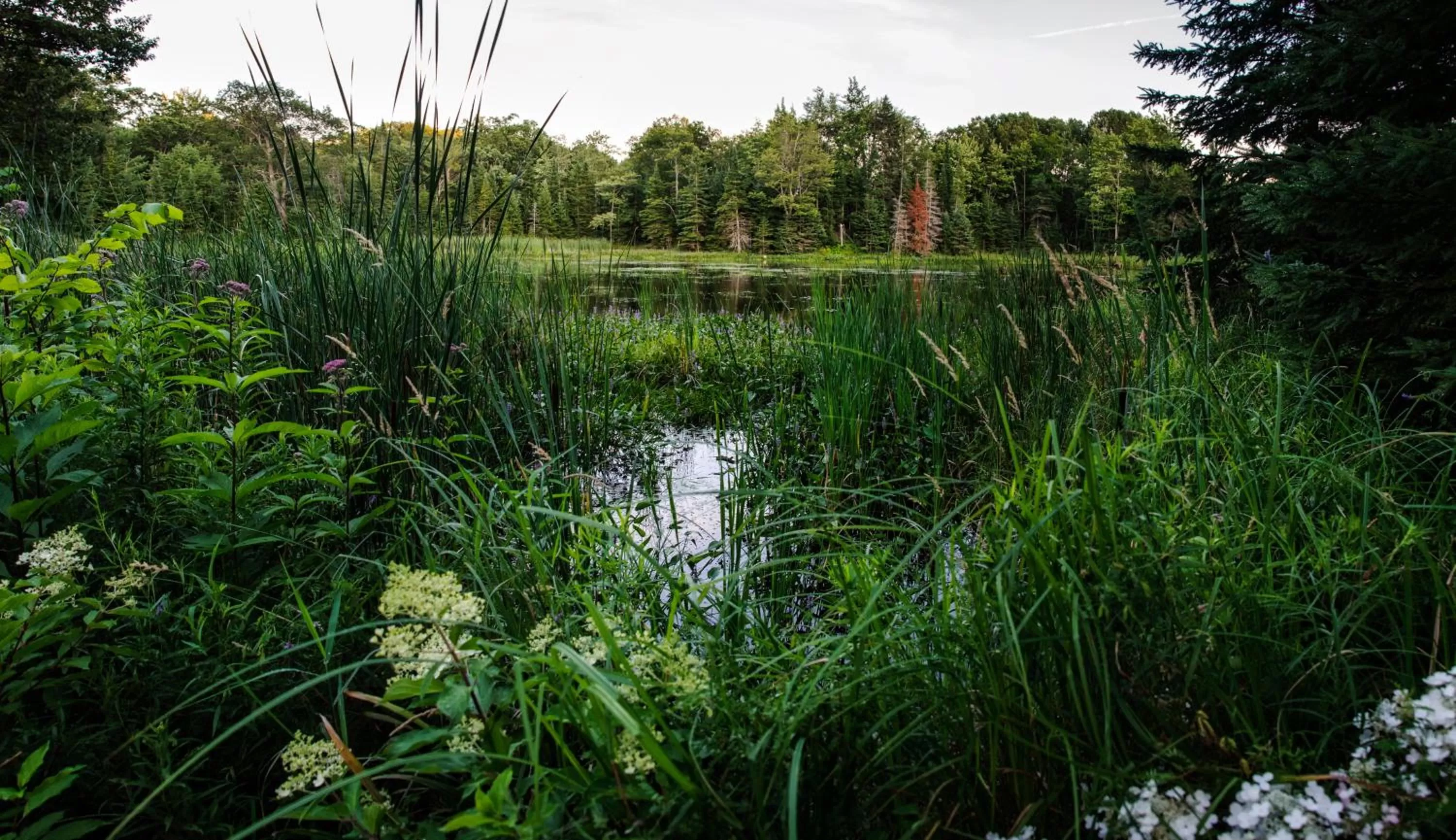 Day in Shambhala Bed and Breakfast