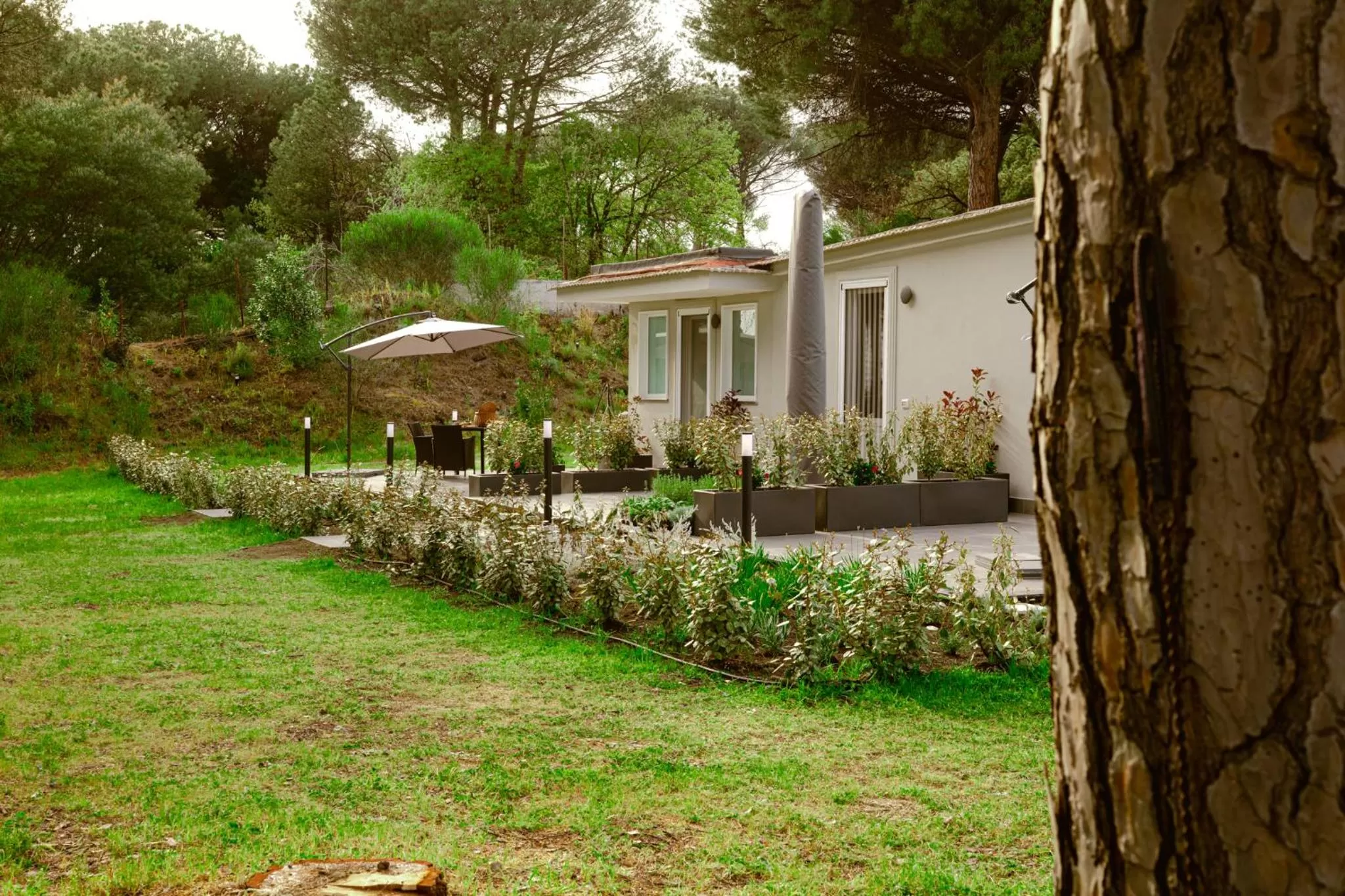 Property building, Garden in Bosco Mattavona