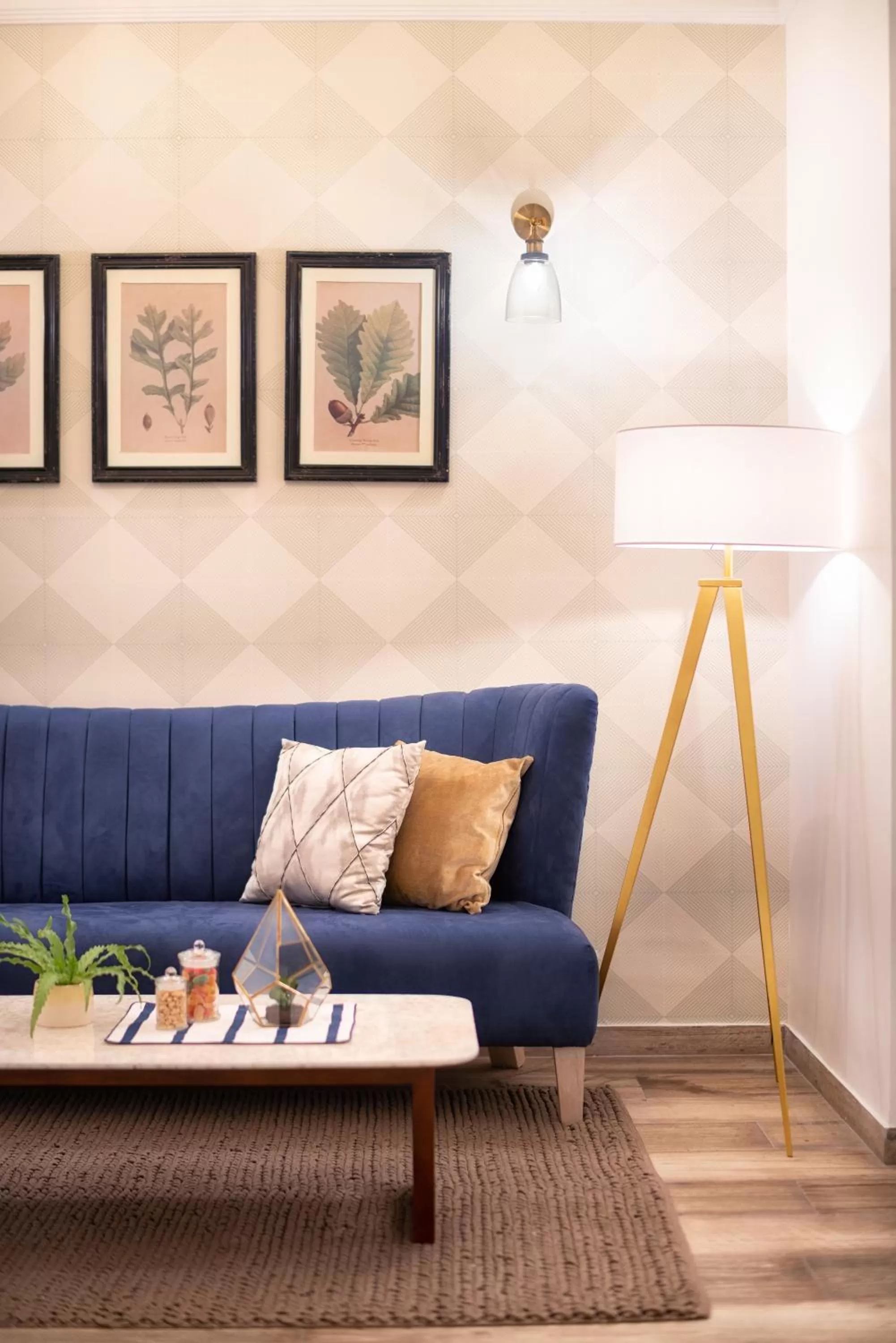 TV and multimedia in Triple O Six