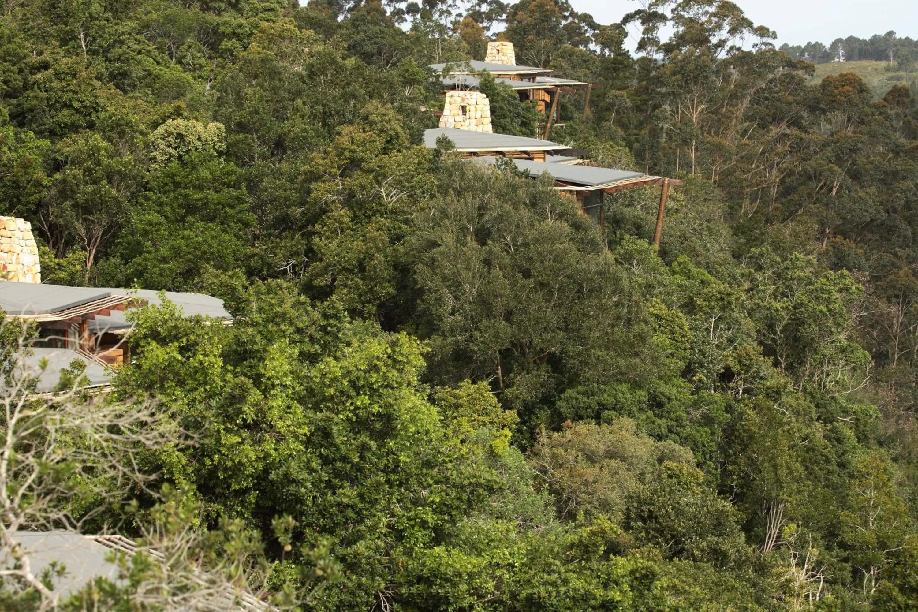 Bird's eye view in Tsala Treetop Lodge