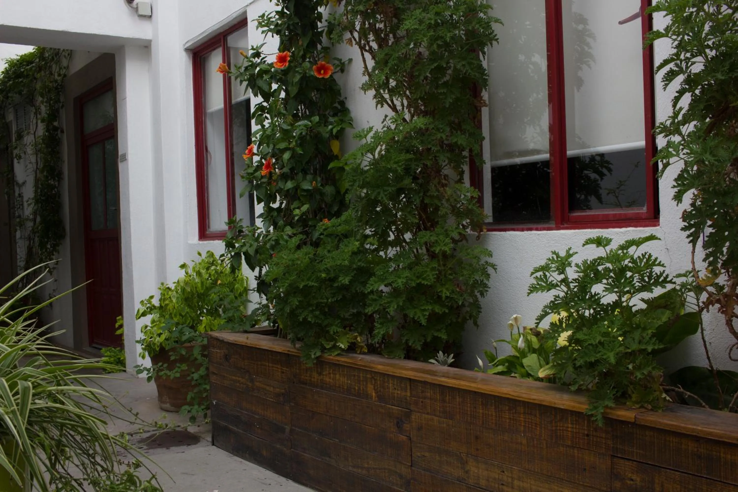 Area and facilities in Kuku Ruku Hotel