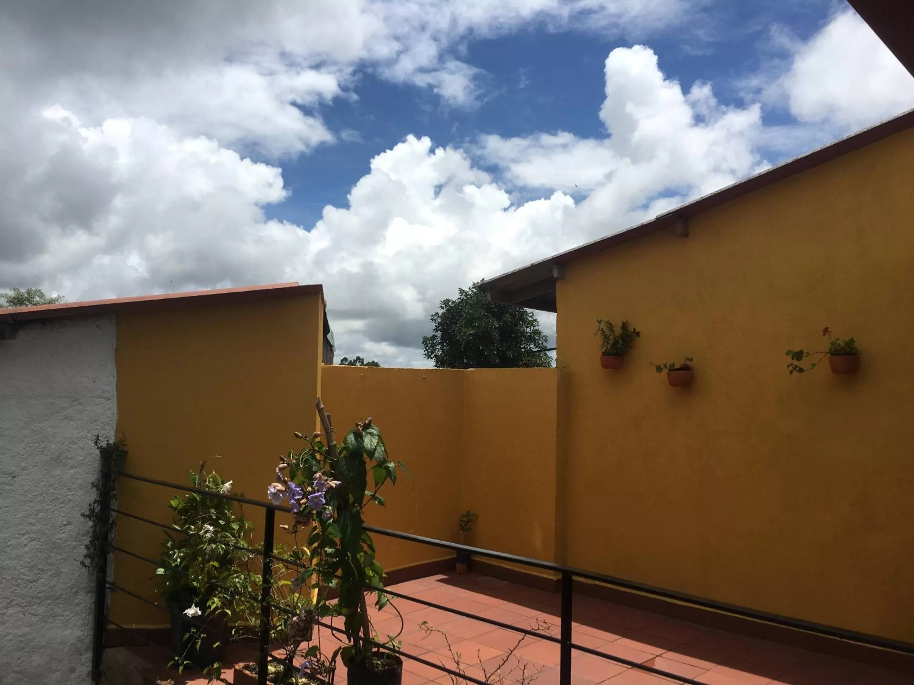 Property Building in Hotel La Caracola