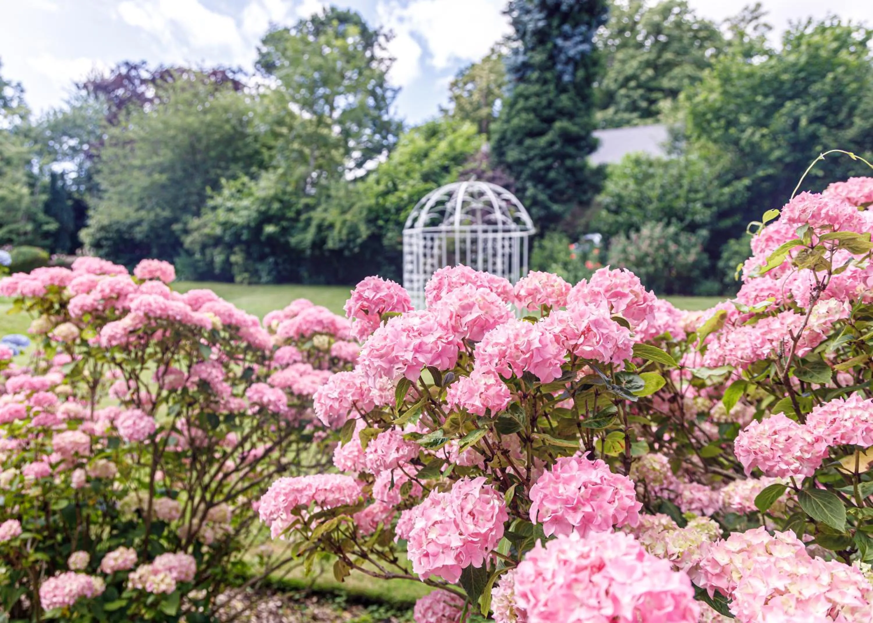 Garden in Rowhill Grange Hotel & Utopia Spa