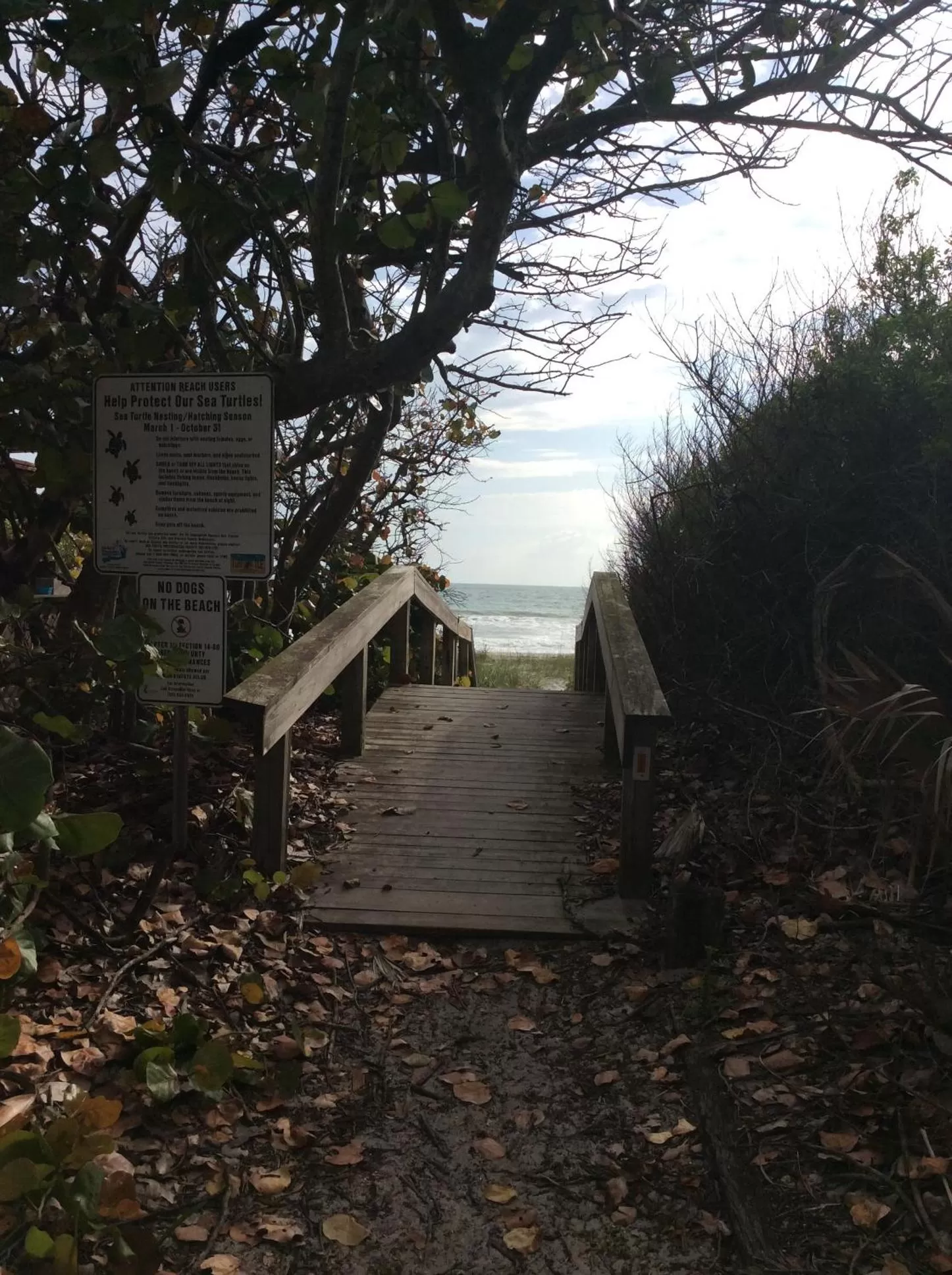 Beach in Lost Inn Paradise