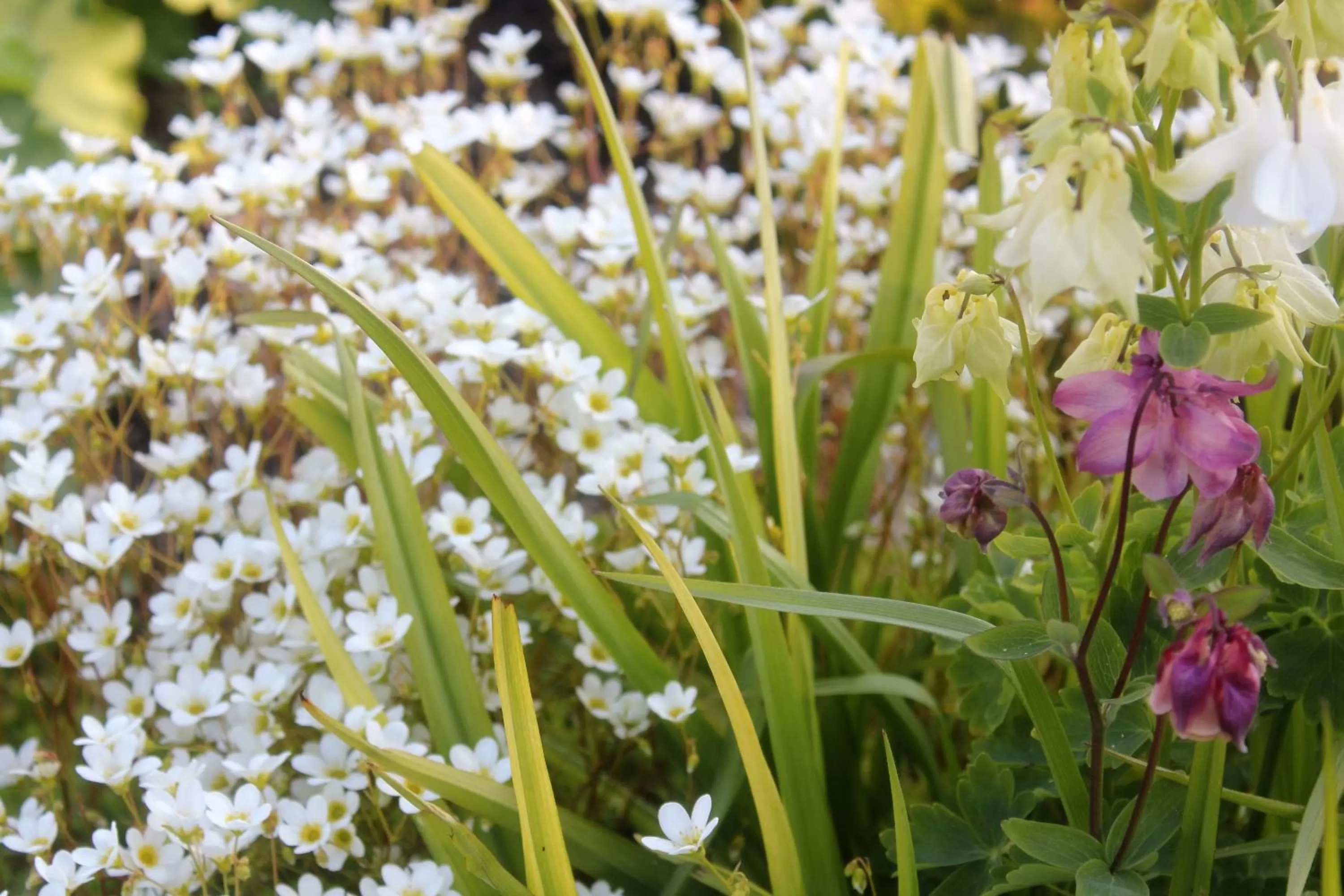 Other in Hummeren Hotel