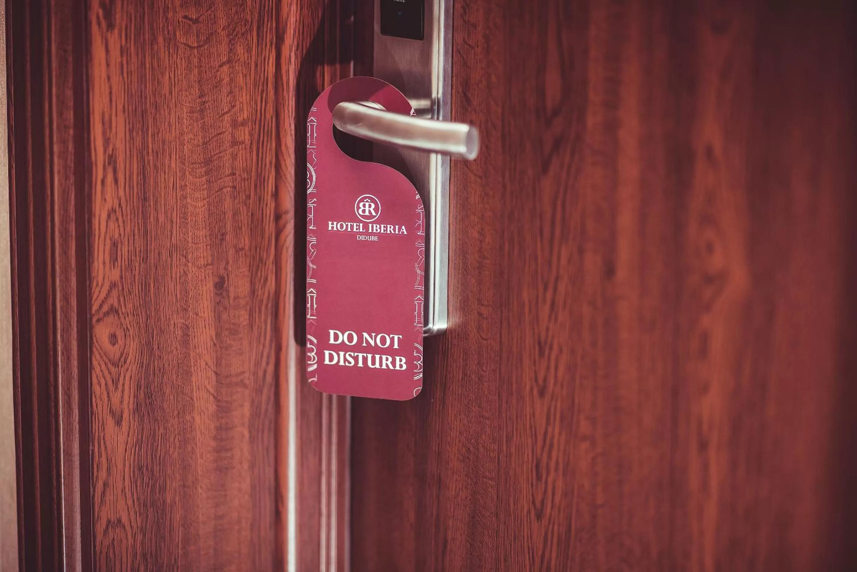 Decorative detail in Iberia Didube