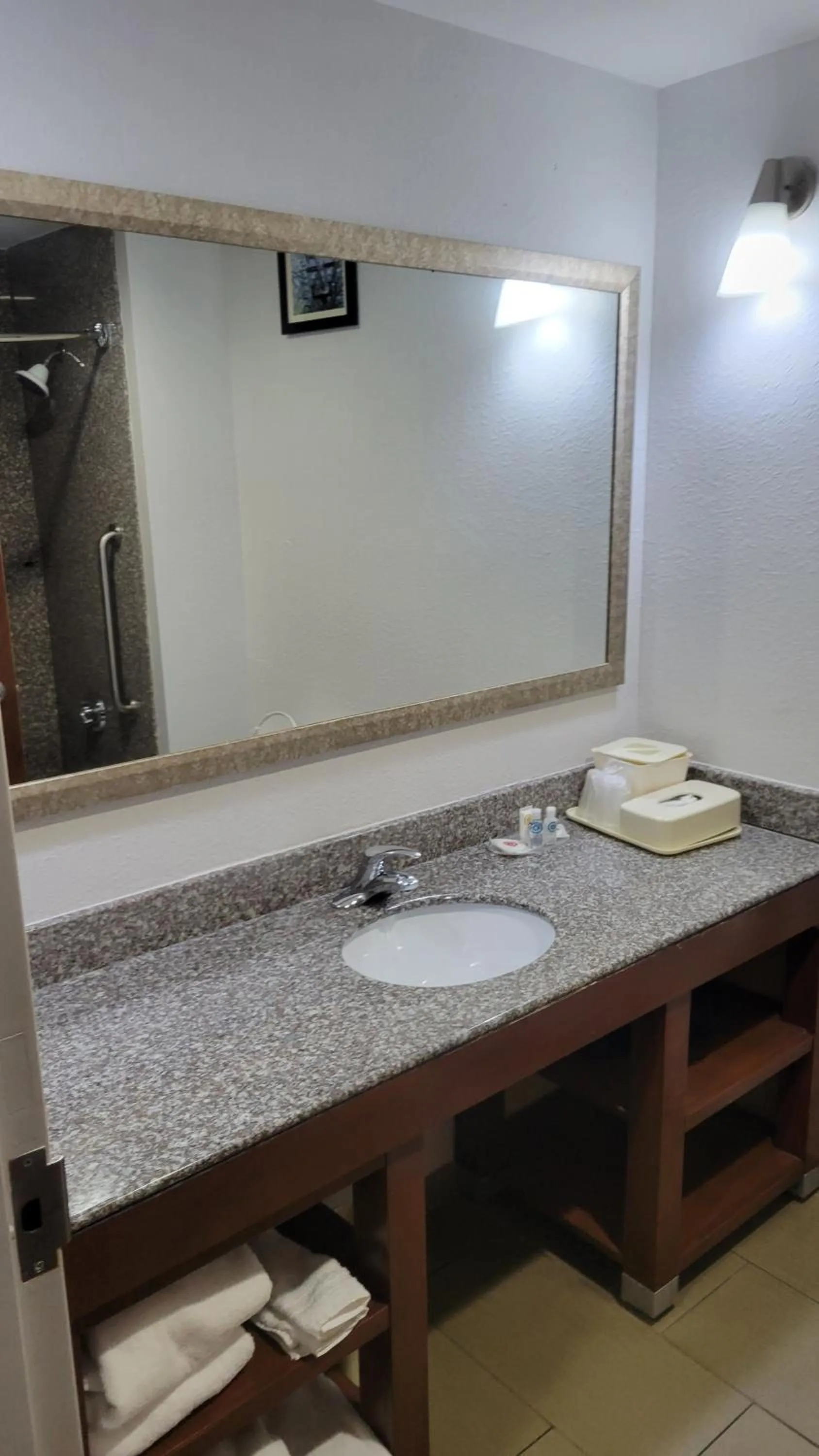 Bathroom in Comfort Suites Macon Northwest