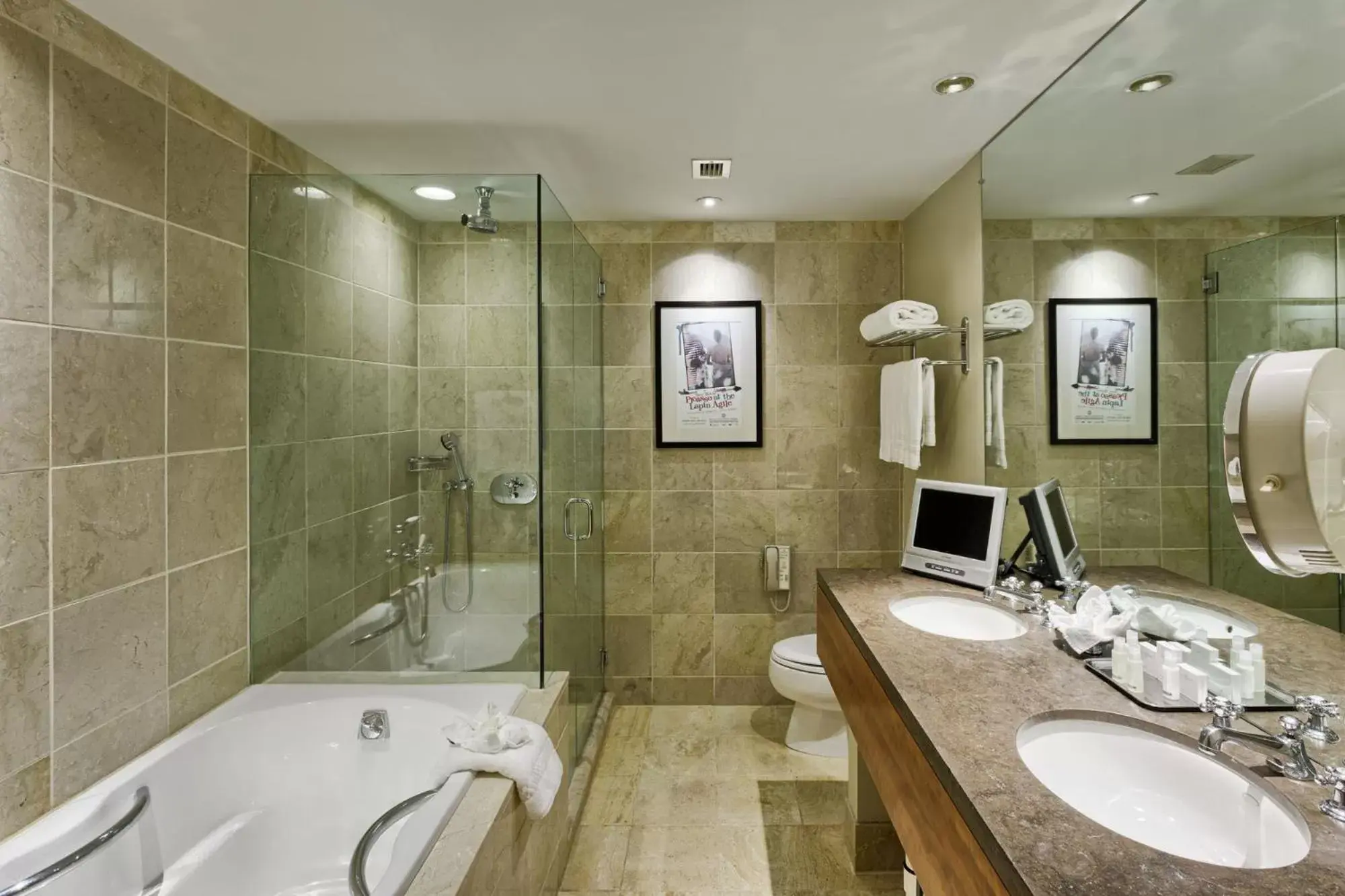 Queen Room - Disability Access in Hotel Teatro Queen Room - Disability Access in Hotel Teatro