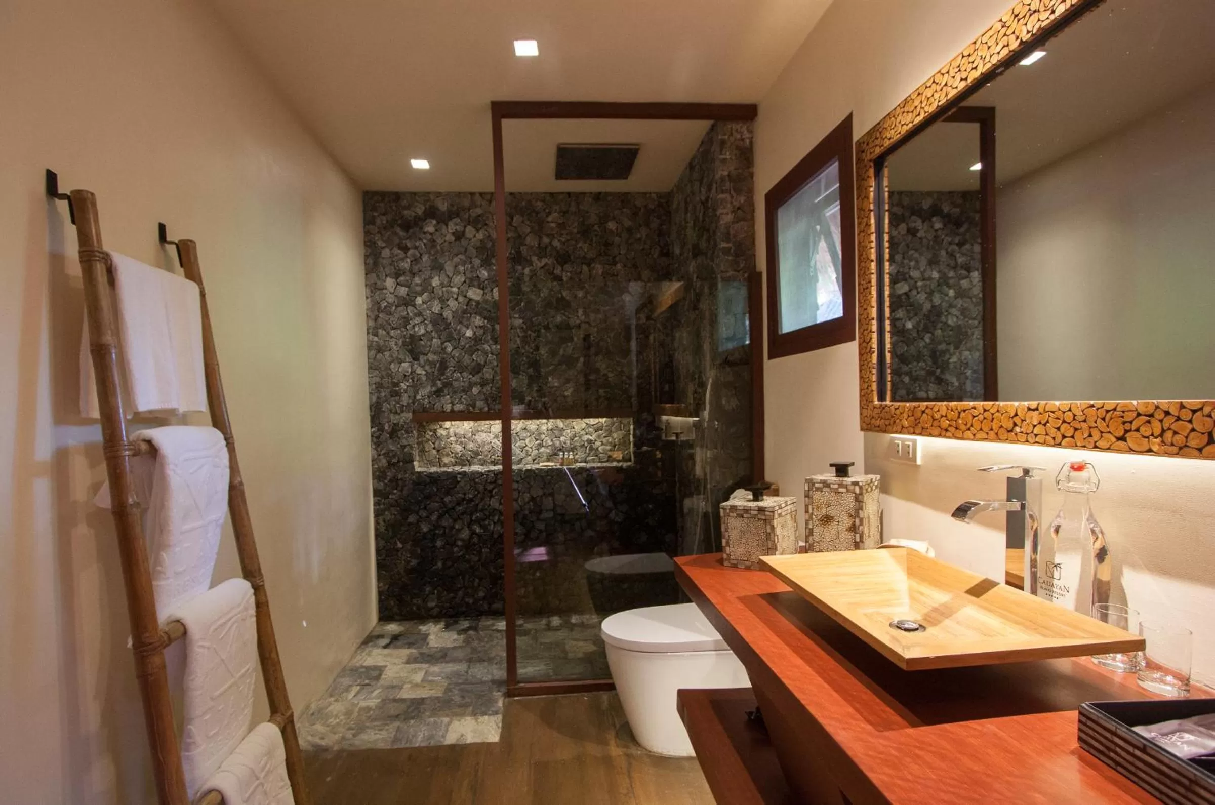 Toilet in Cauayan Island Resort and Spa