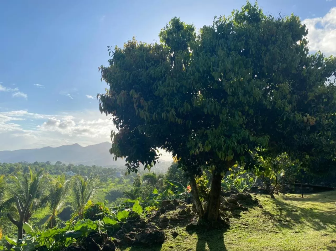 Villa Cajou (Chambre d'hôtes chez l'habitant)