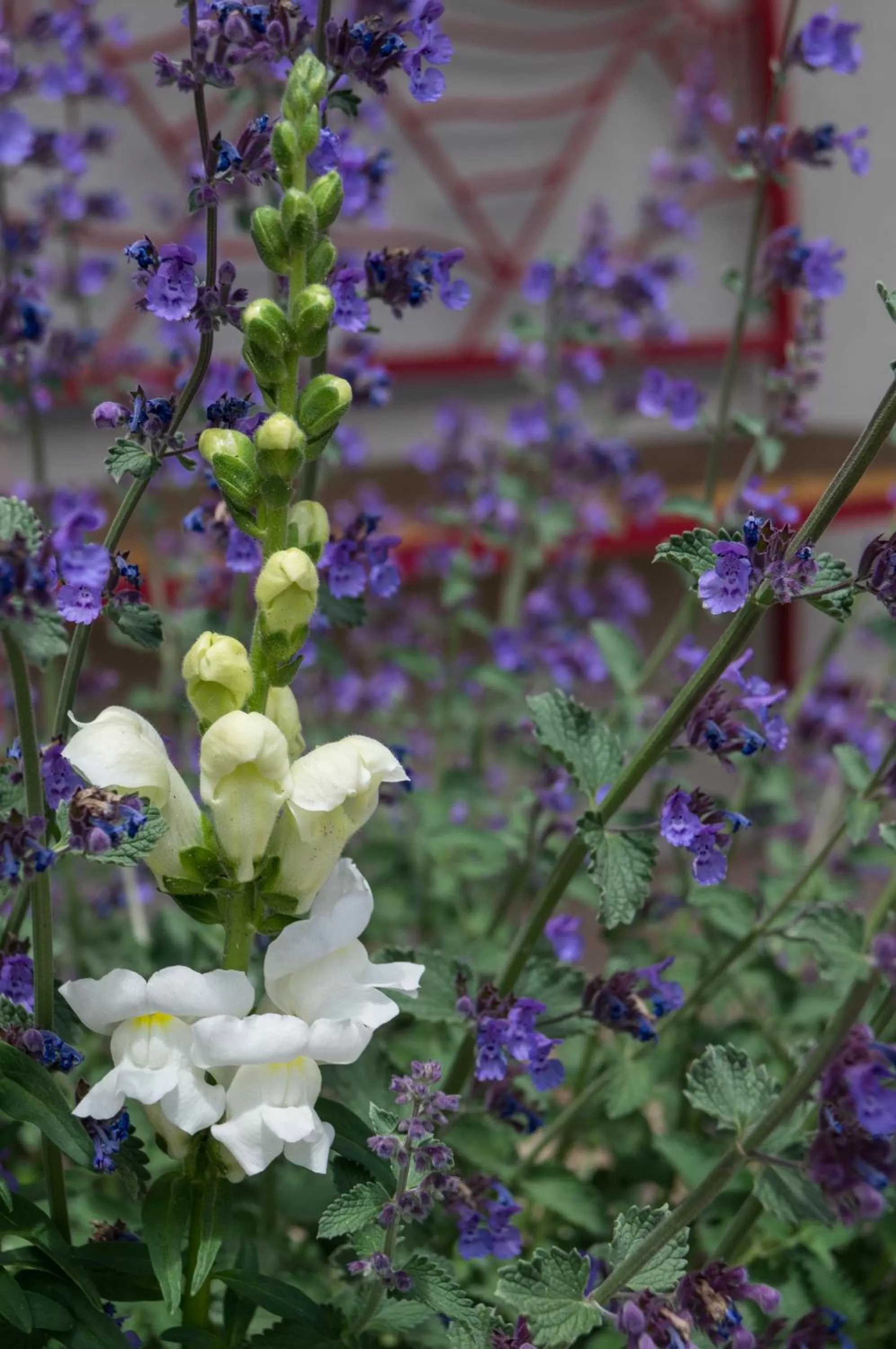 Property building in Red Wing Motel