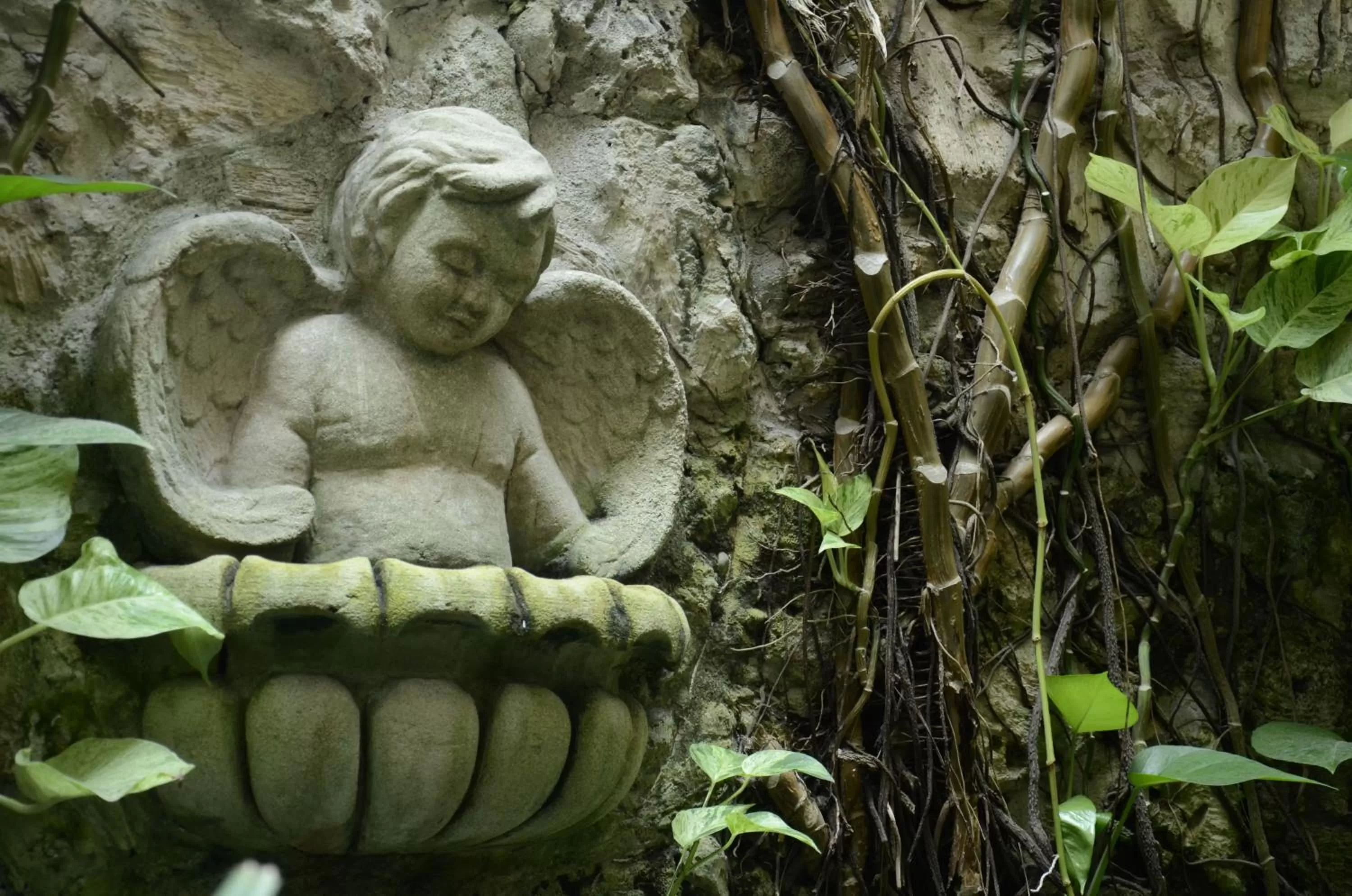 Decorative detail in Hotel Casa La Fe