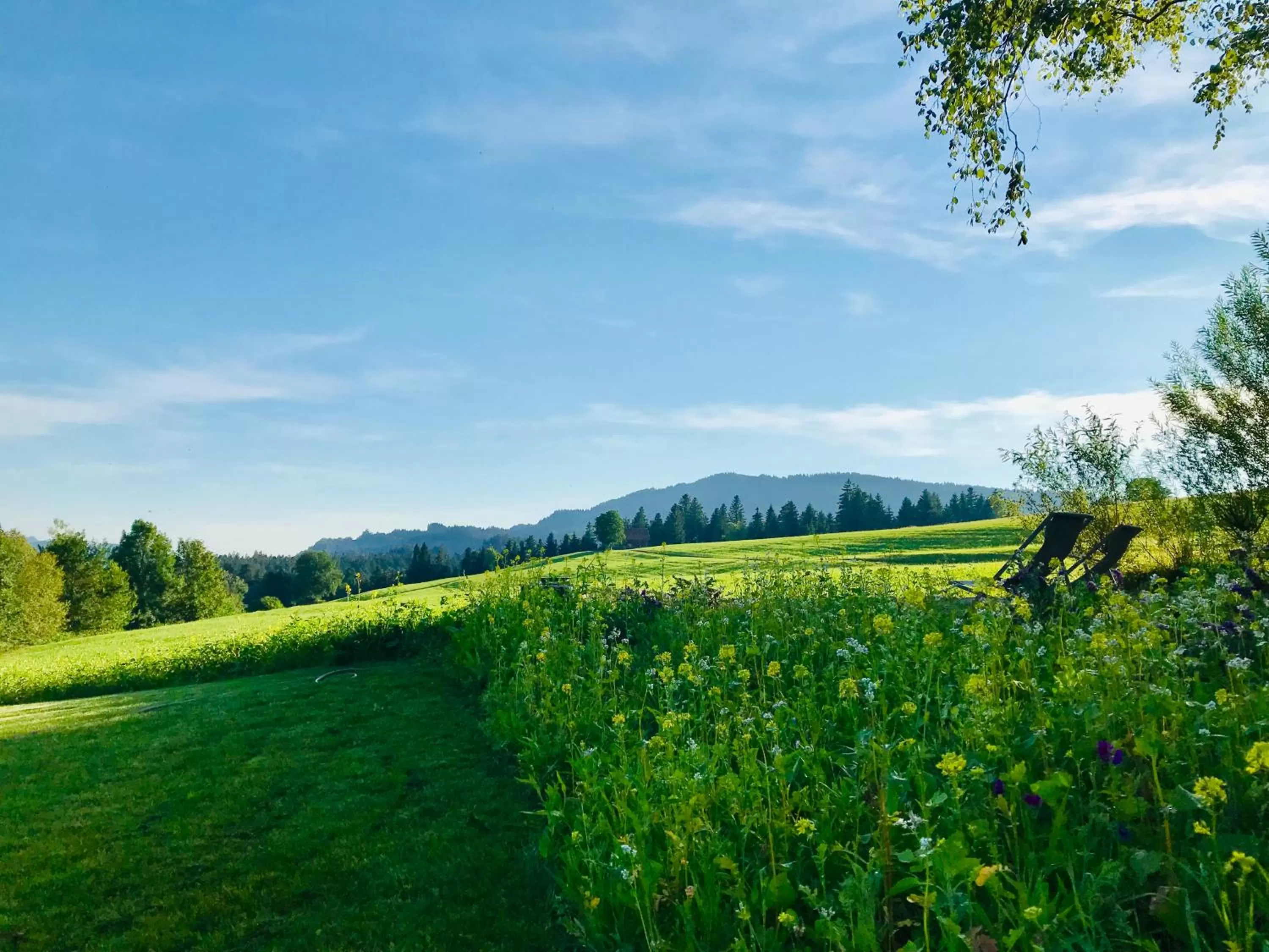 Garden view in Alpenloge Hotel