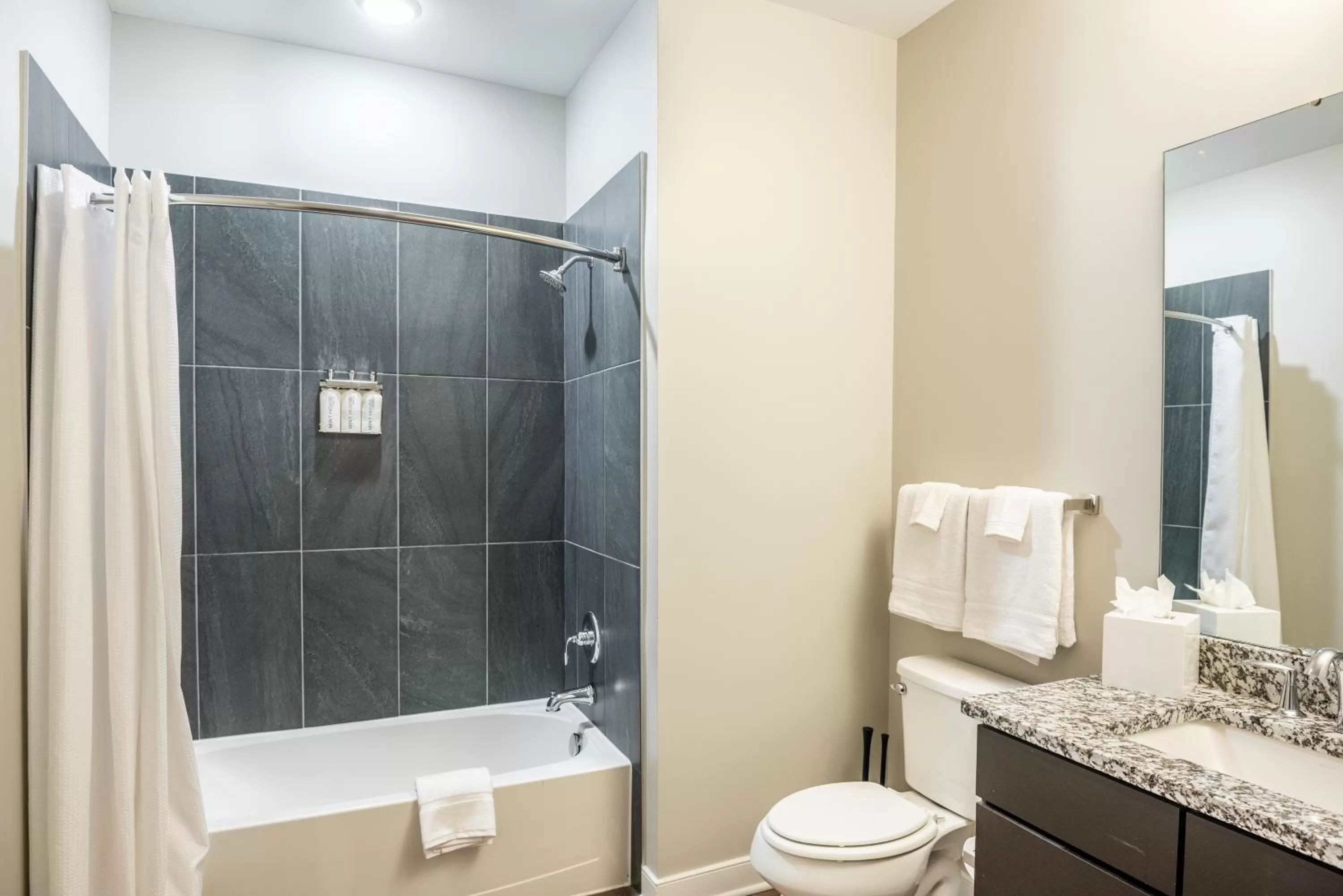 Bathroom in Mint House Detroit - New Center