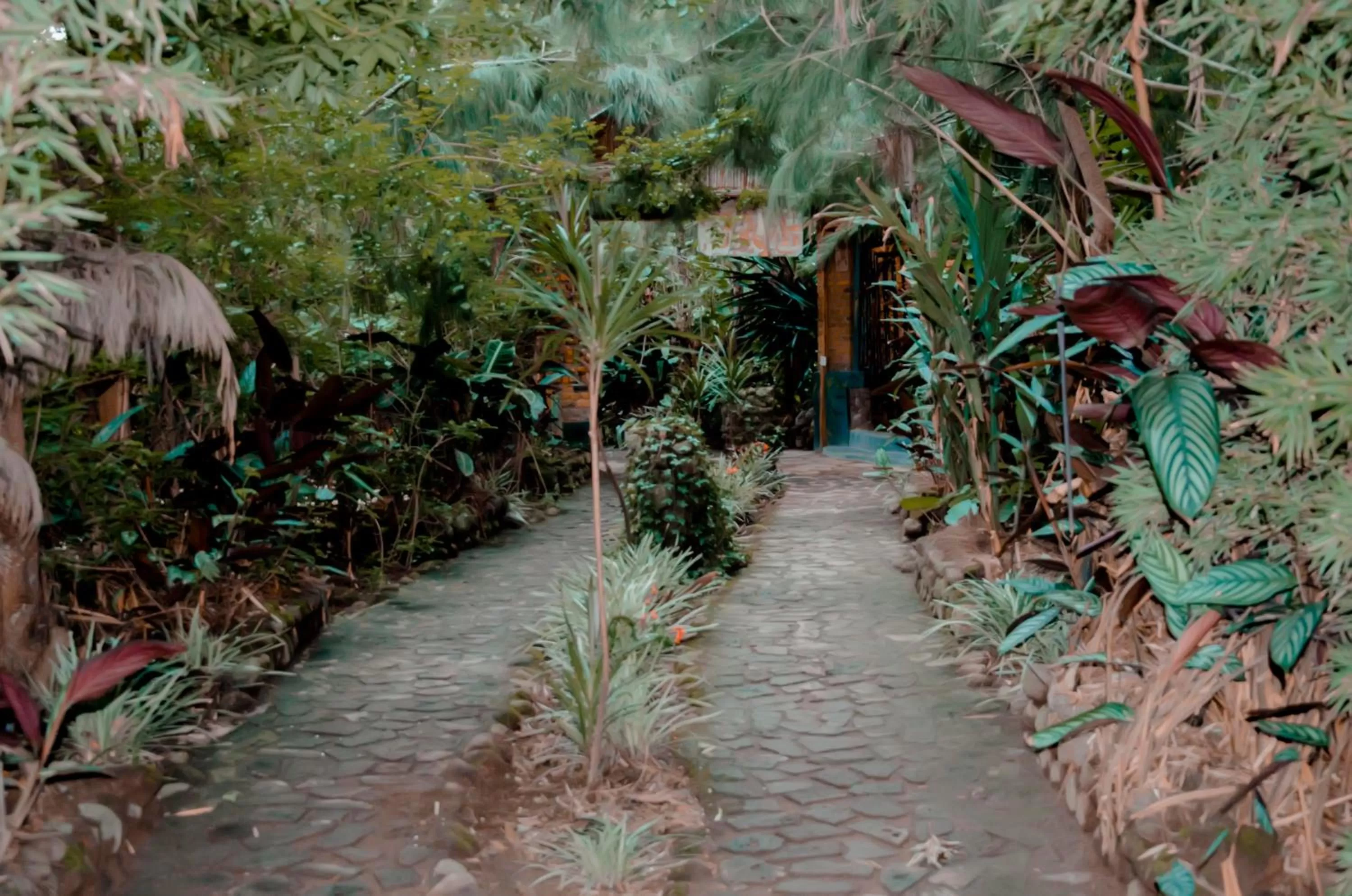 Garden in Fravan Eco Resort By Apogee