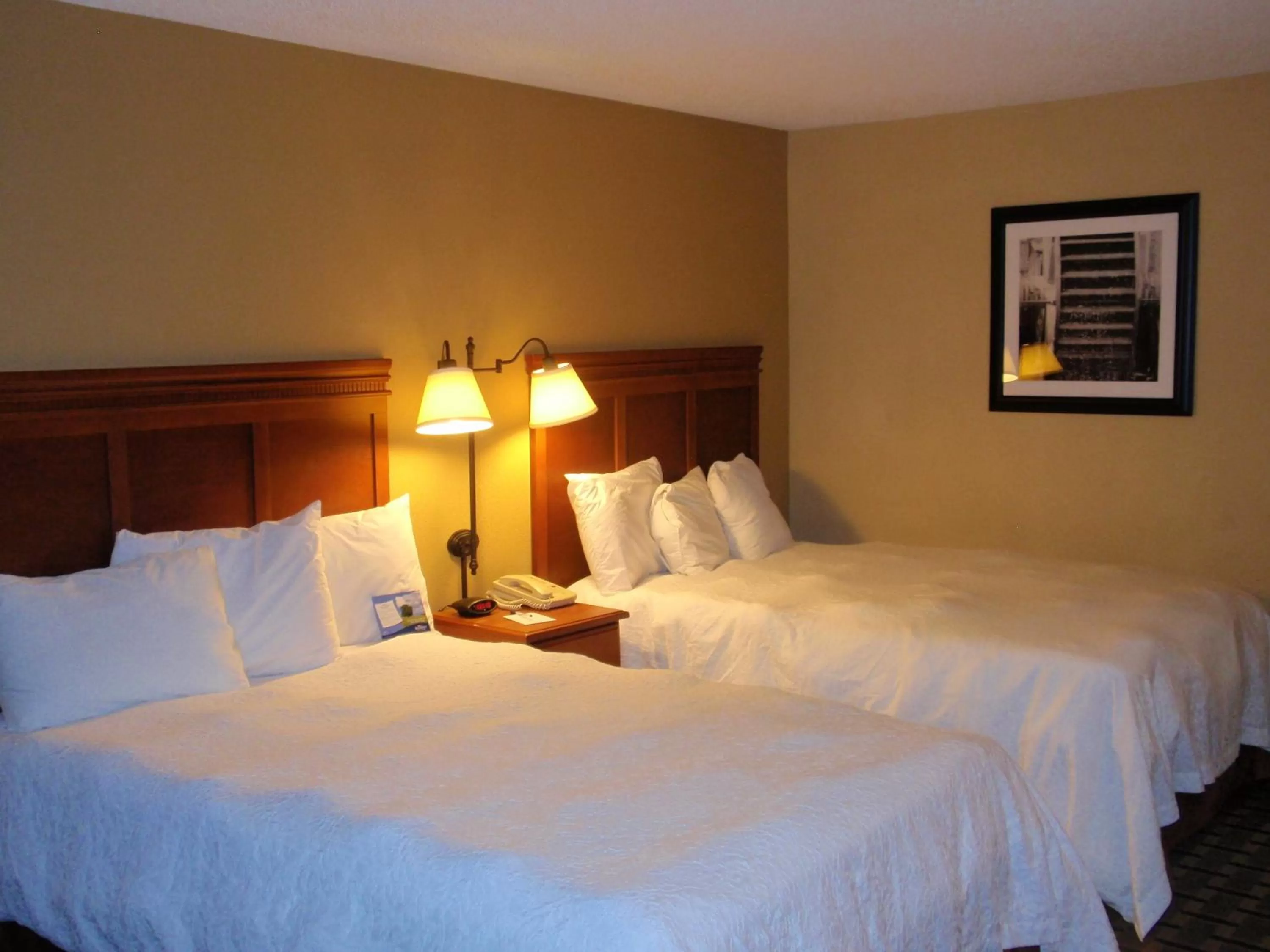 Photo of the whole room, Bed in Baymont by Wyndham Lewisville