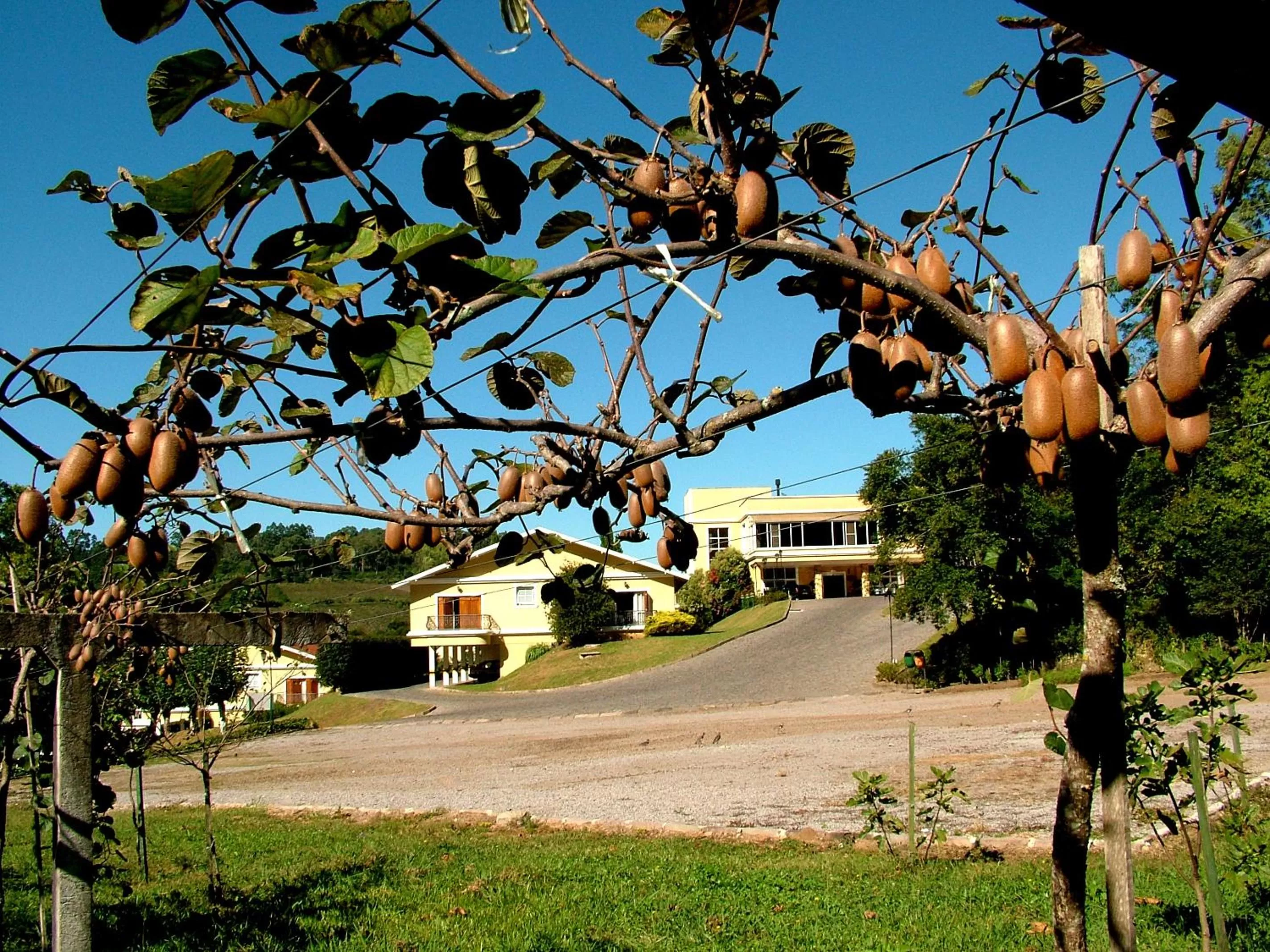 Facade/entrance, Property Building in Hotel Villa Michelon
