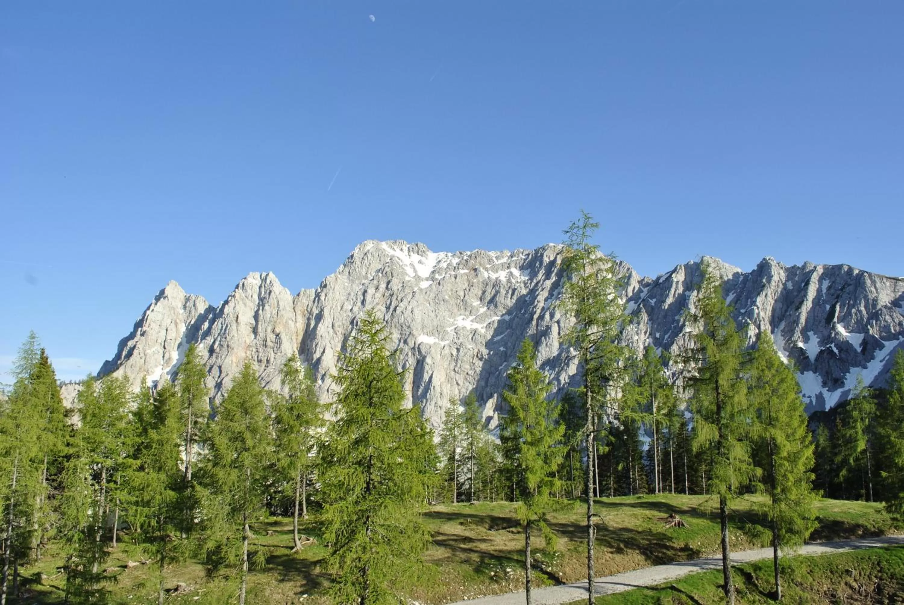 Natural landscape in Bed&Breakfast Lausegger