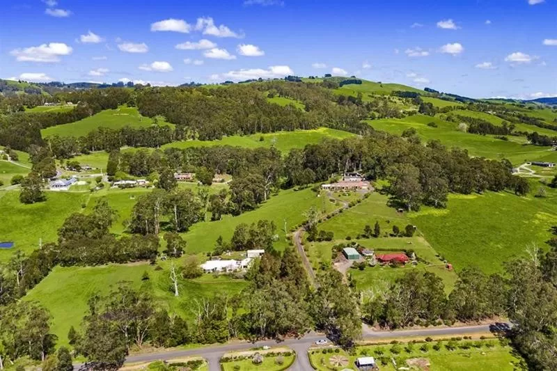 Bird's-eye View in Rosewood Park Guest Suite