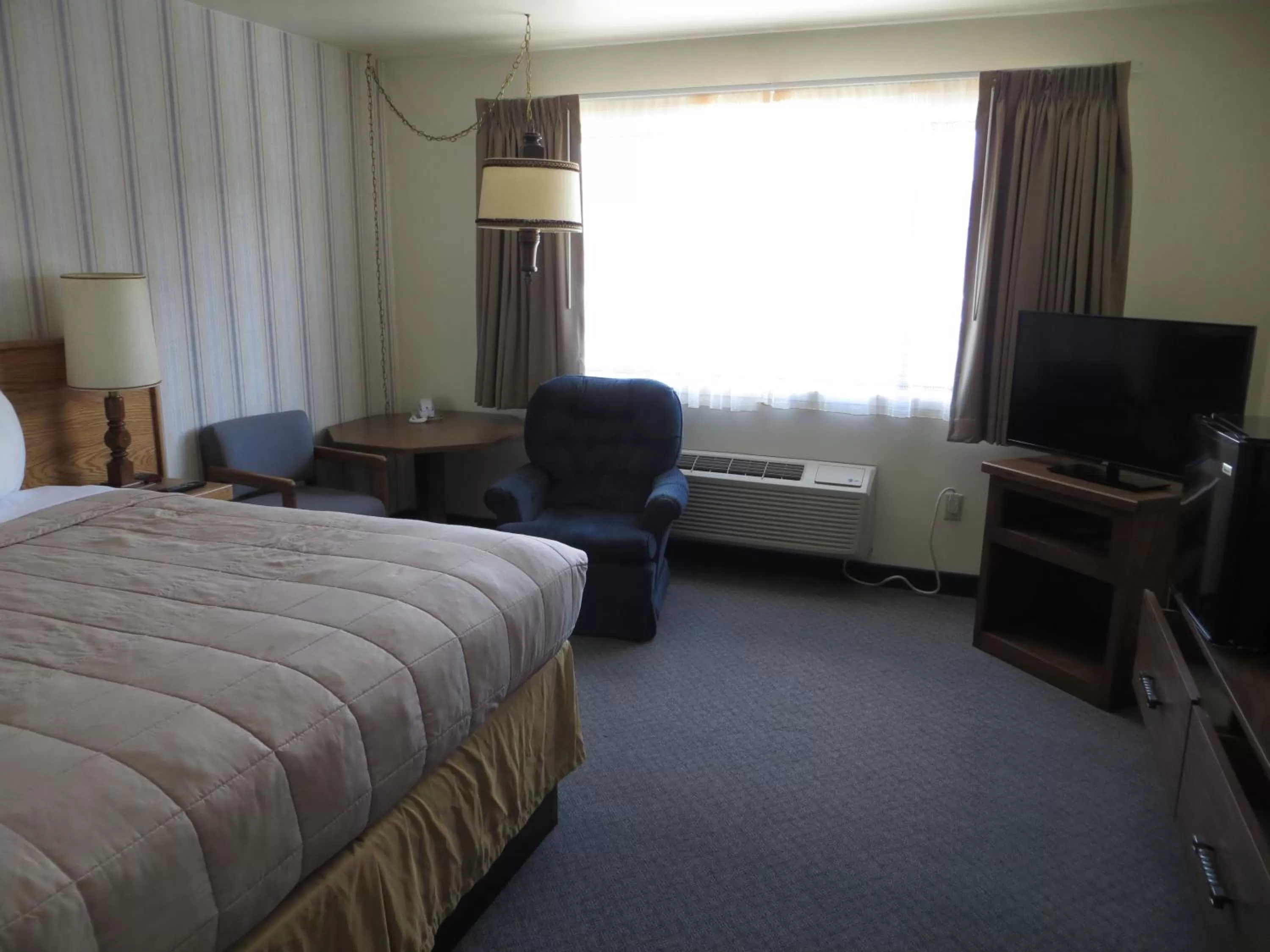 TV and multimedia, Bed in Jailhouse Motel and Casino