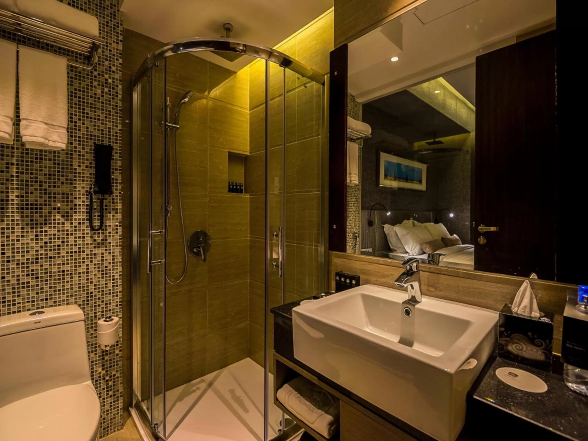 Toilet in Best Western Plus Maple Leaf