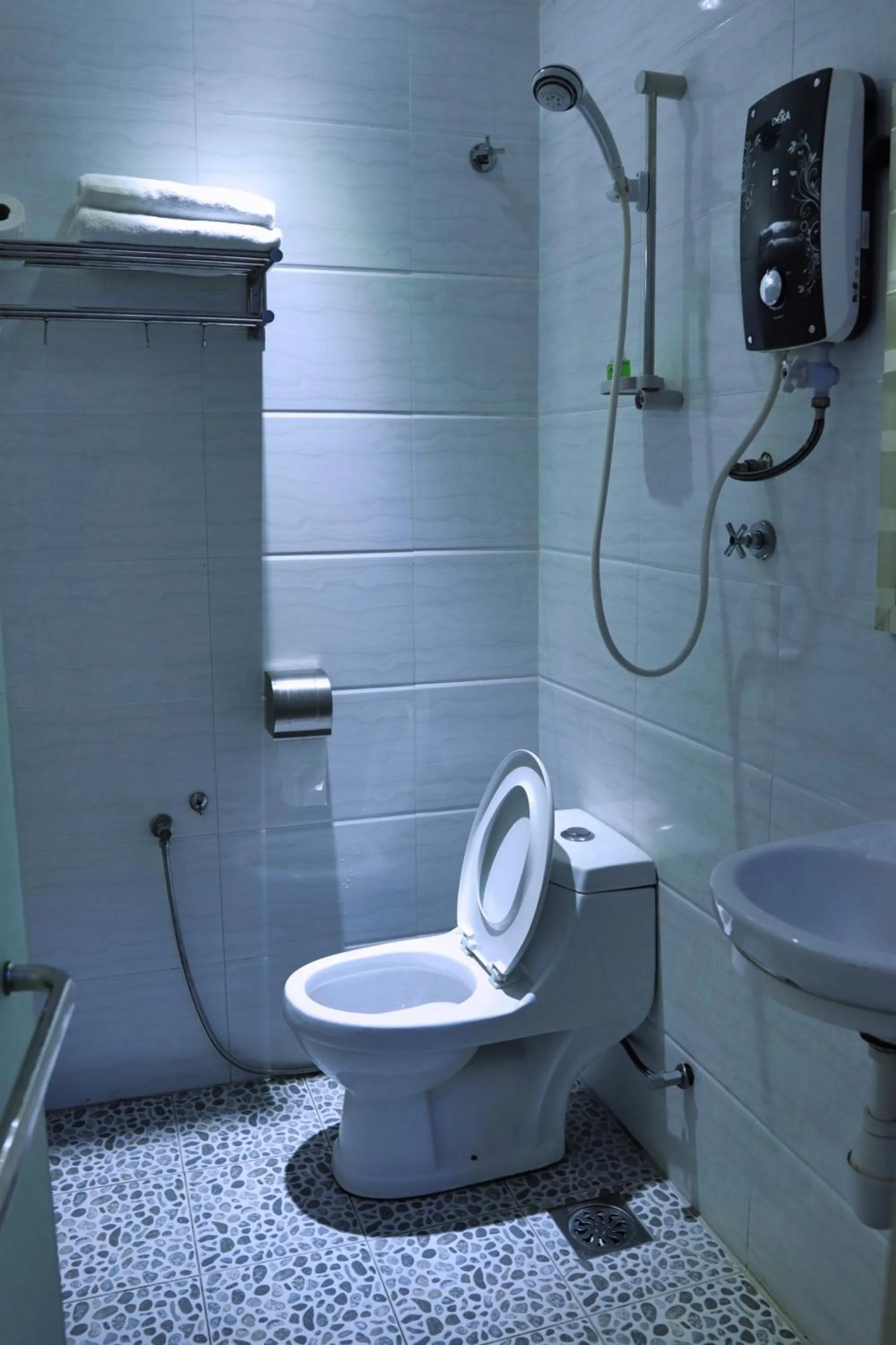 Toilet in Rain Forest Hotel