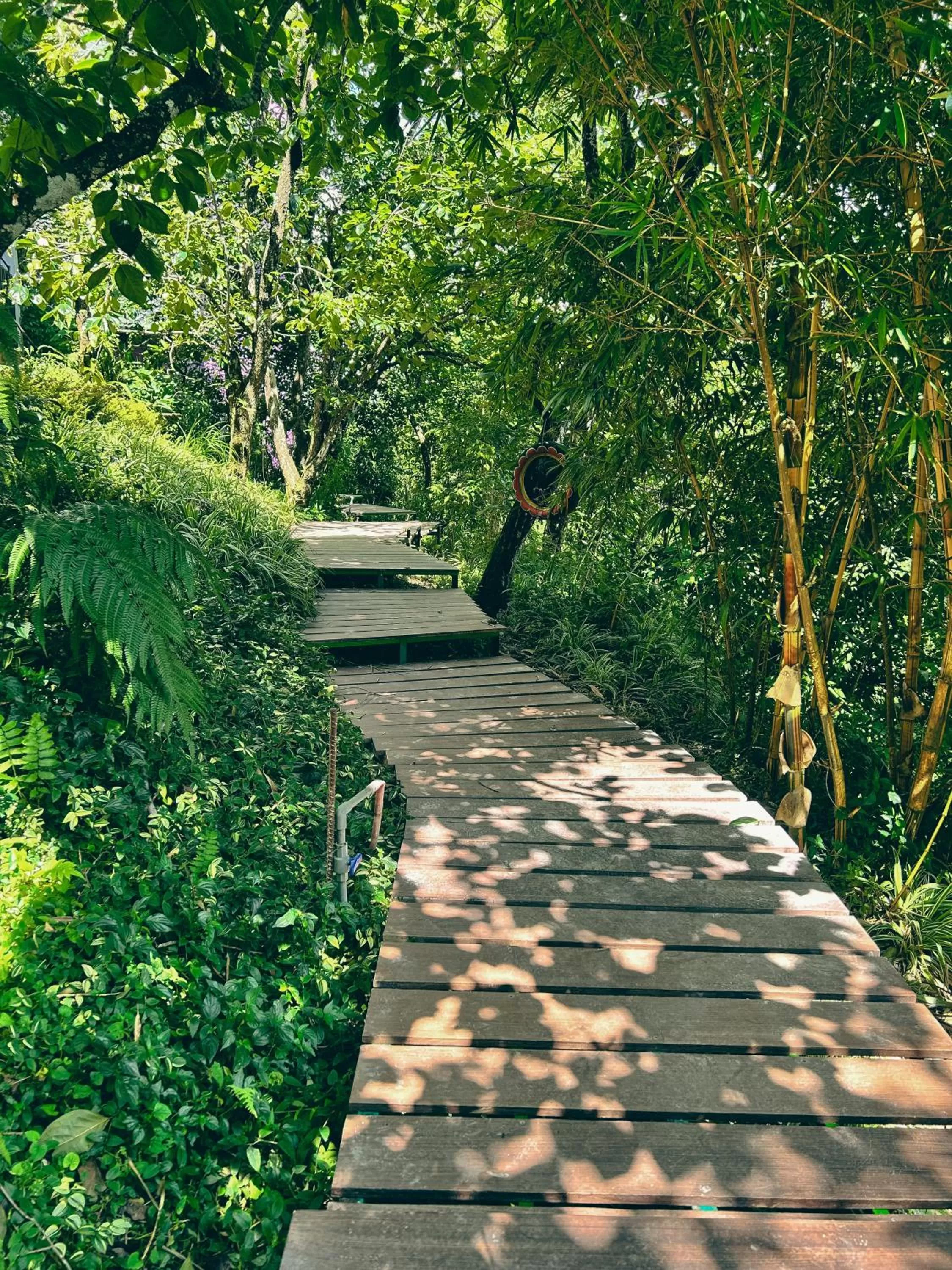 Property building in Hong Mon Villa