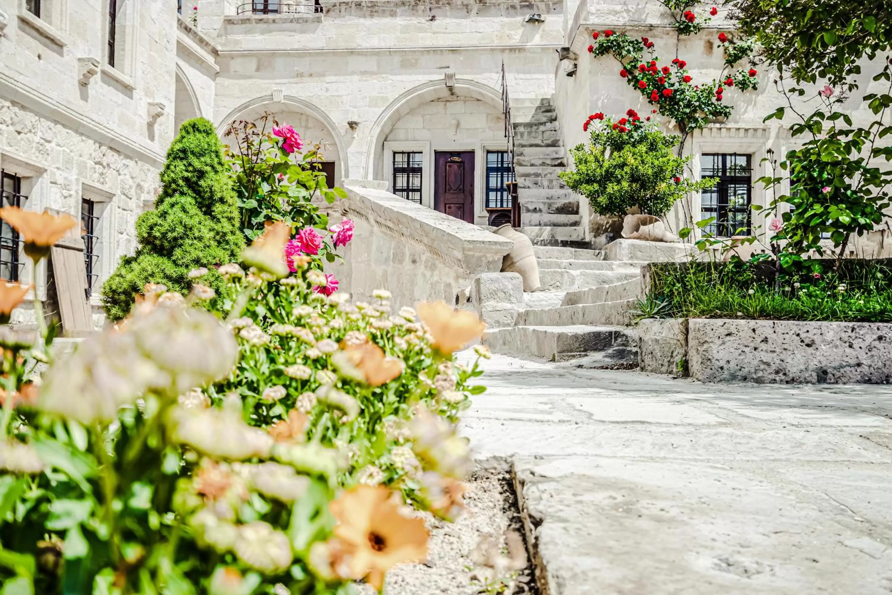 Garden in Kelebek Cave Hotel