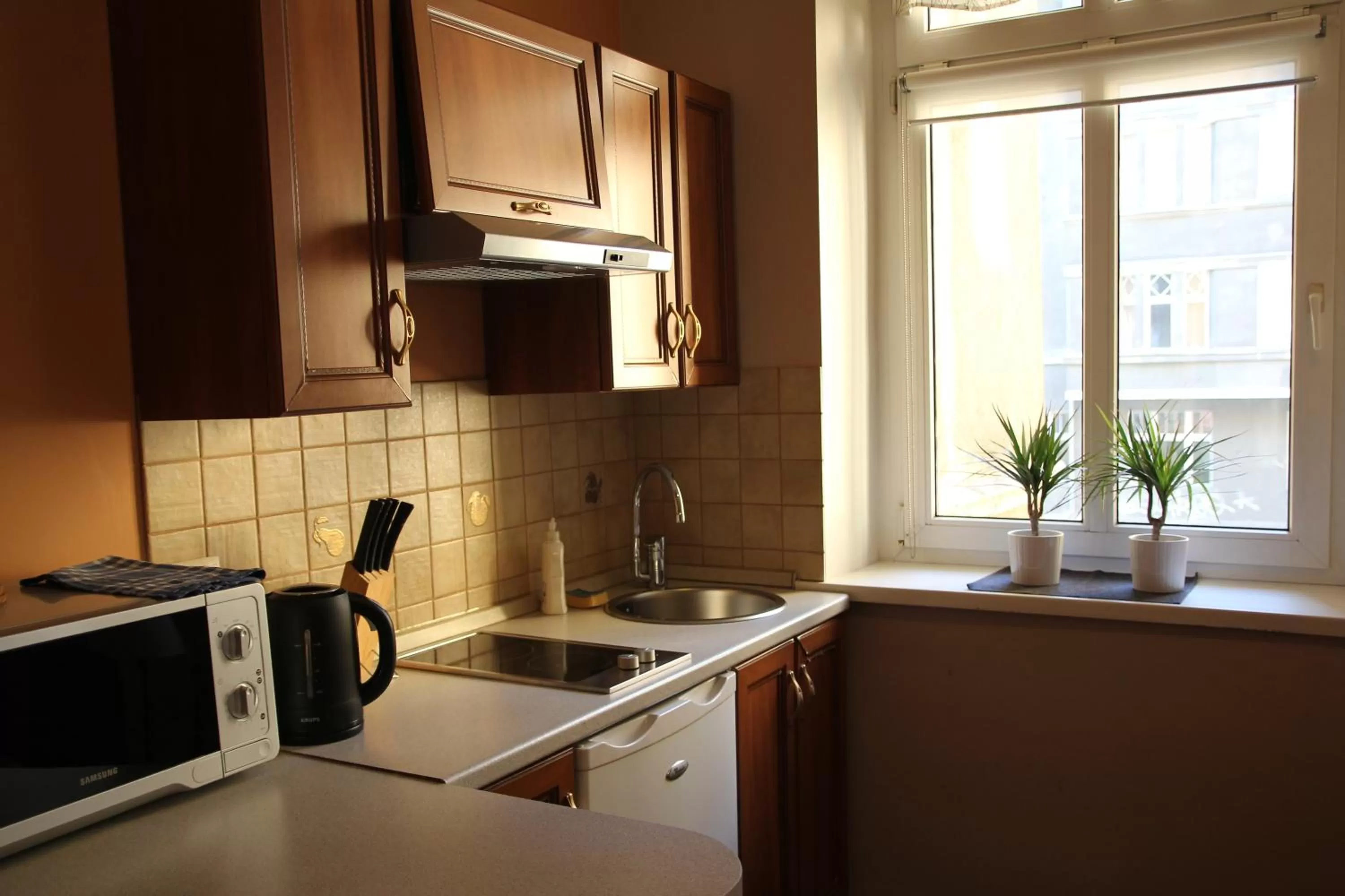 Kitchen or kitchenette in Apartamenty Velvet