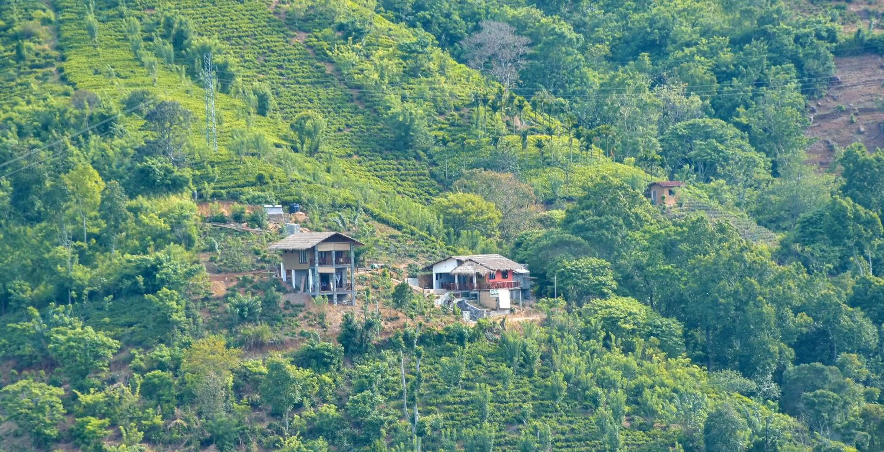 View (from property/room), Bird's-eye View in Ornateview Hotel
