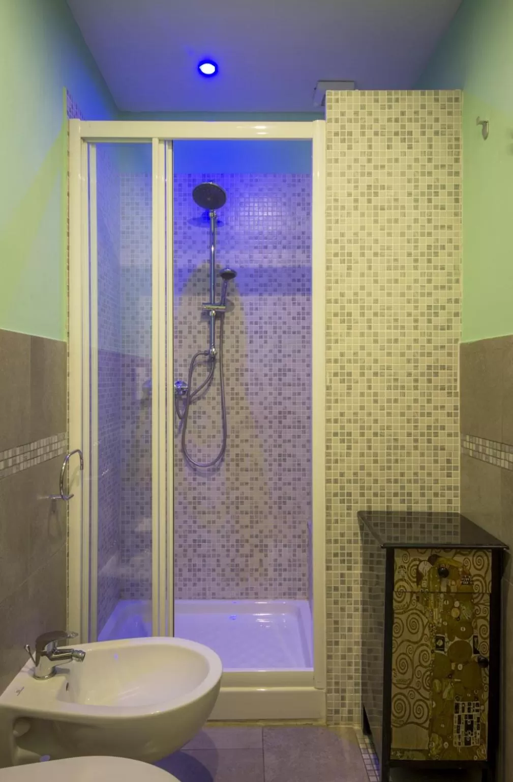 Shower in Ridolfi Guest House